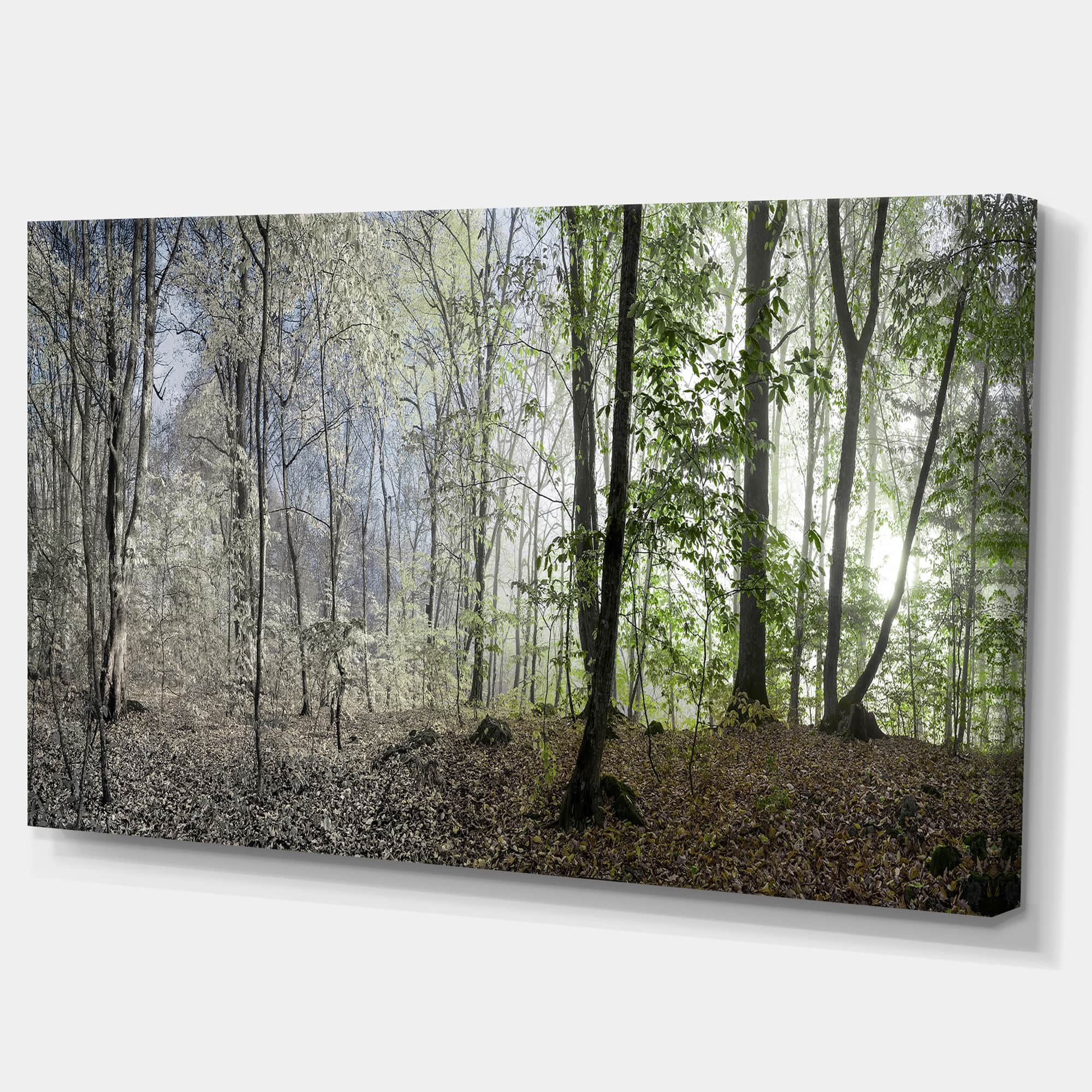 Designart - Green Morning in Forest Panorama - Landscape Canvas Art Print