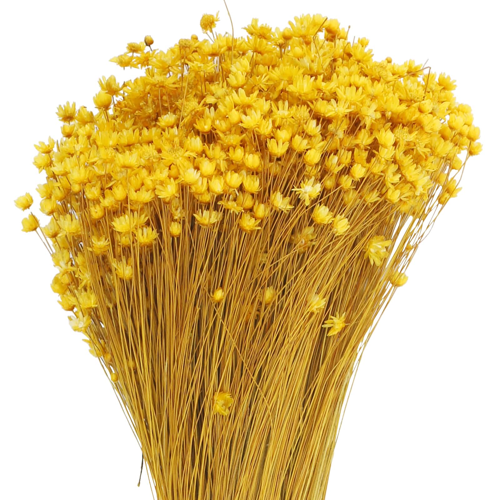 Yellow Campo Flowers Decorative Naturals by Ashland&#xAE;