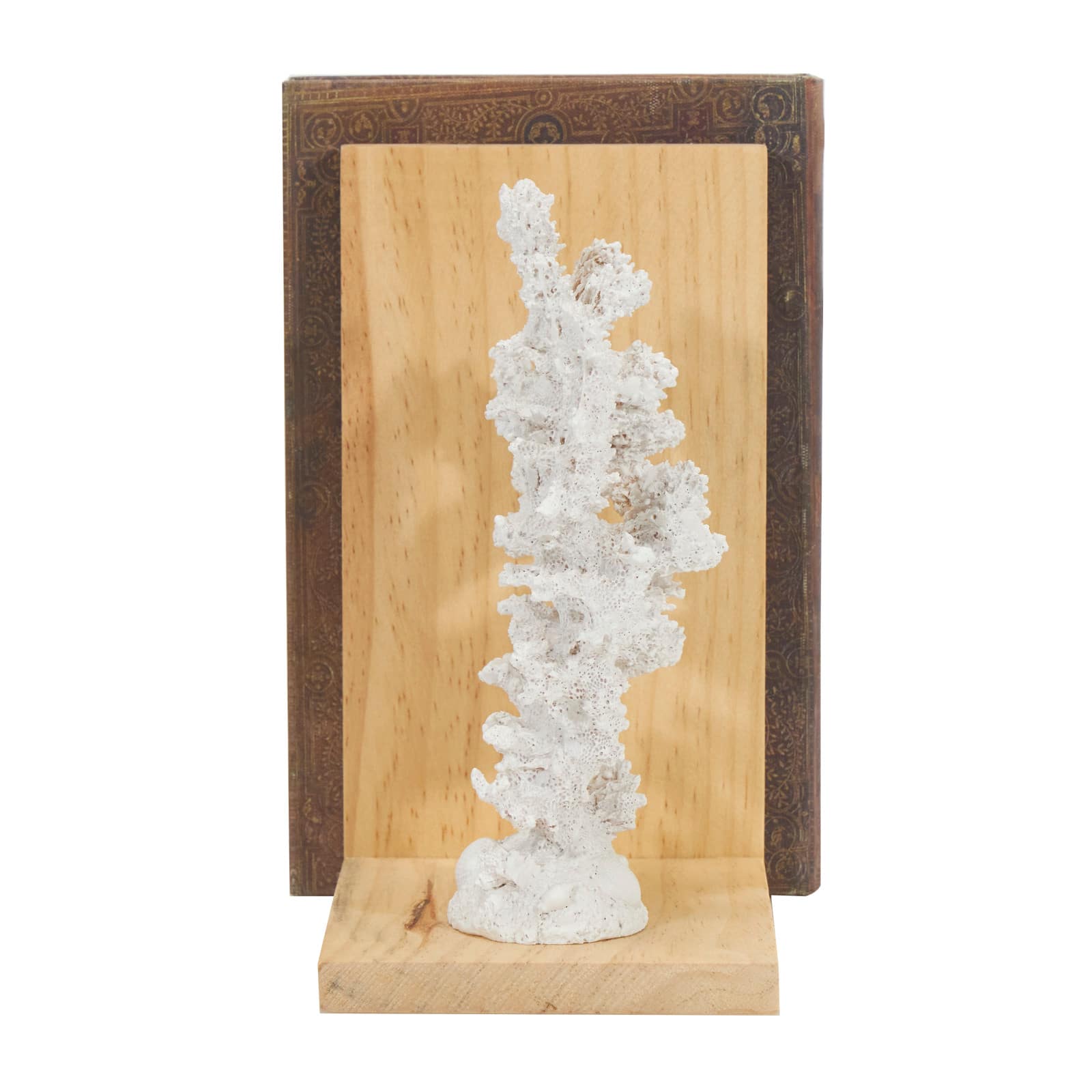 7.75&#x22; White Coral Textured Bookends with Brown L-Shaped Stands Set