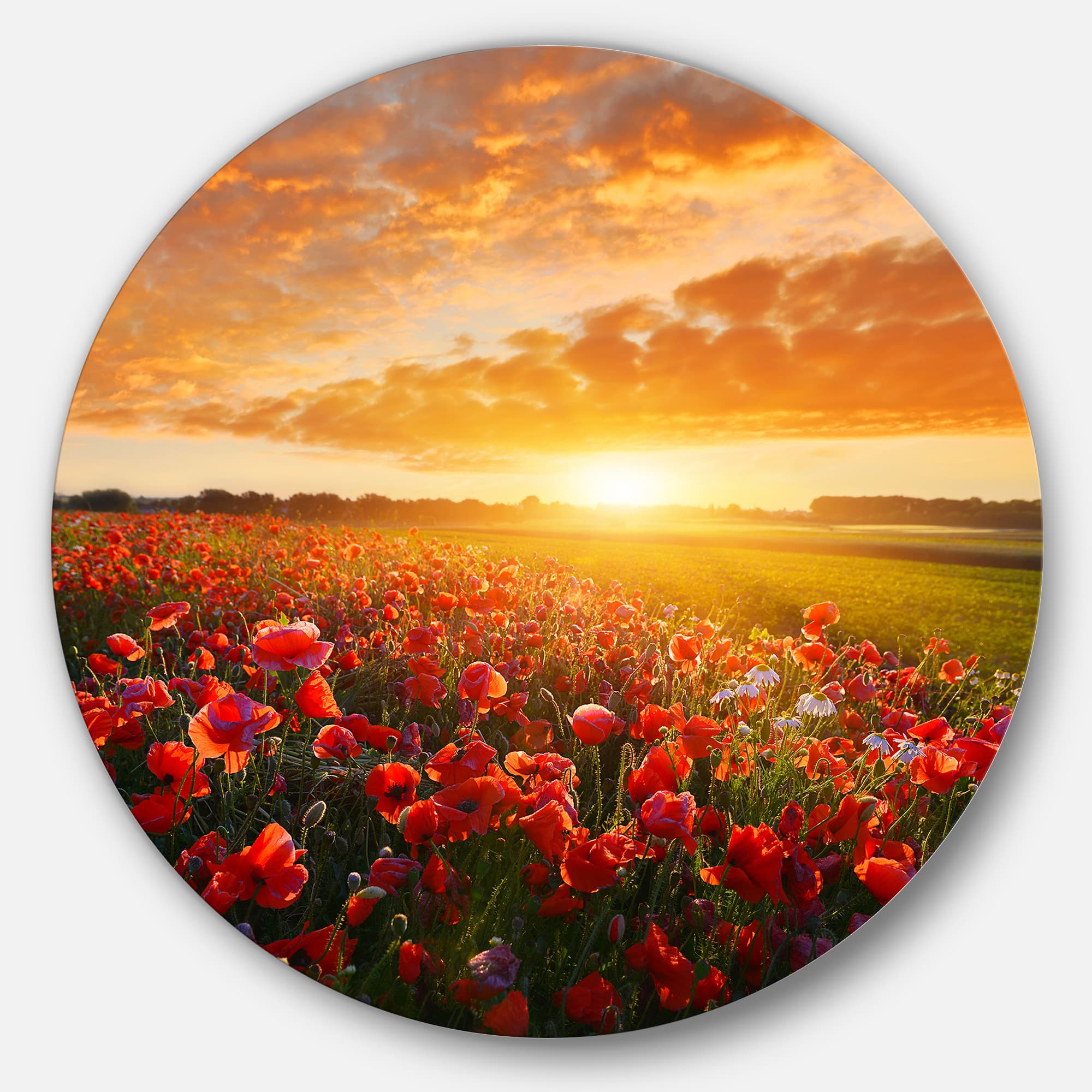 Designart - Beautiful Poppy Field at Sunset&#x27; Abstract Round Circle Metal Wall Art