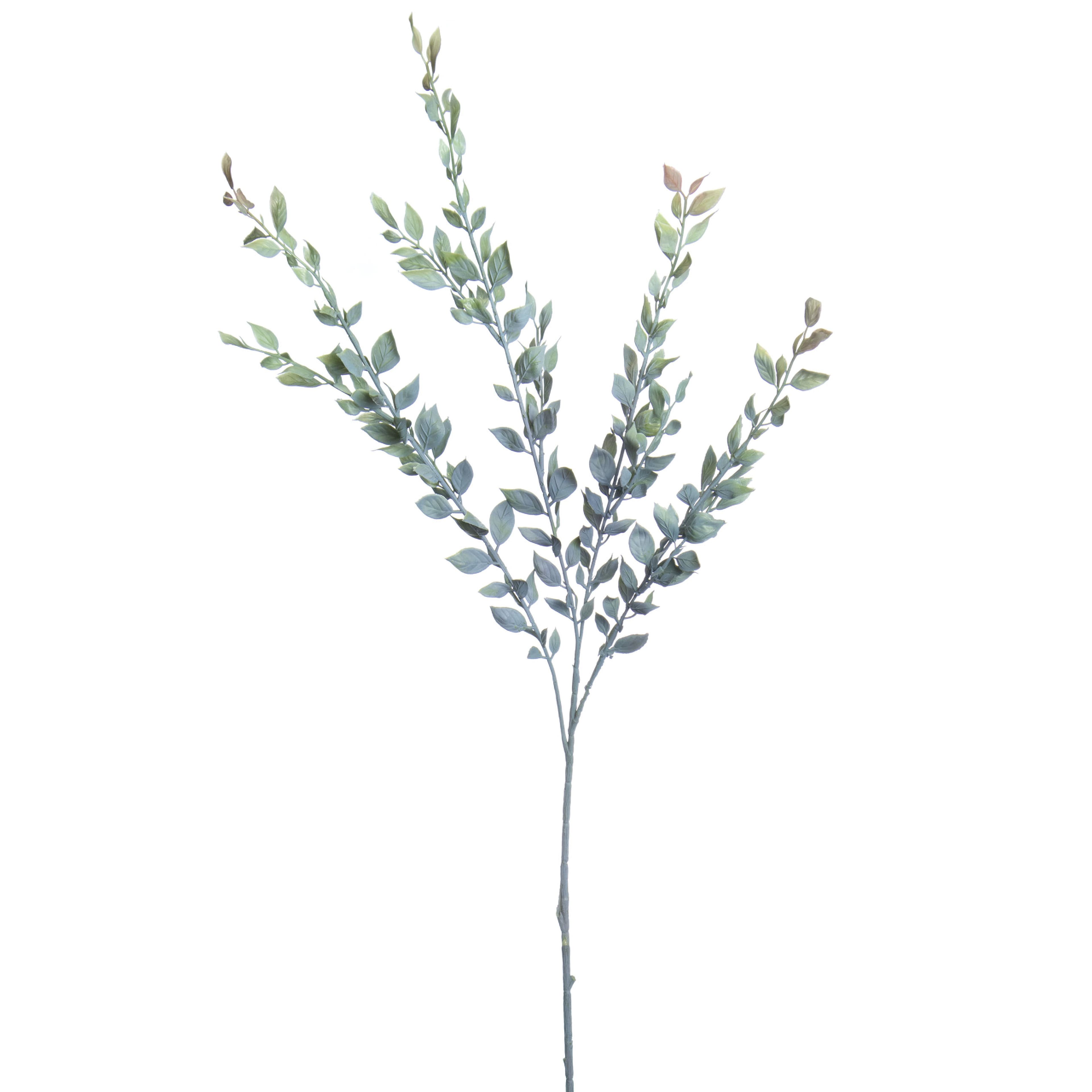 38.5&#x22; Green Ruscus Stem by Ashland&#xAE;