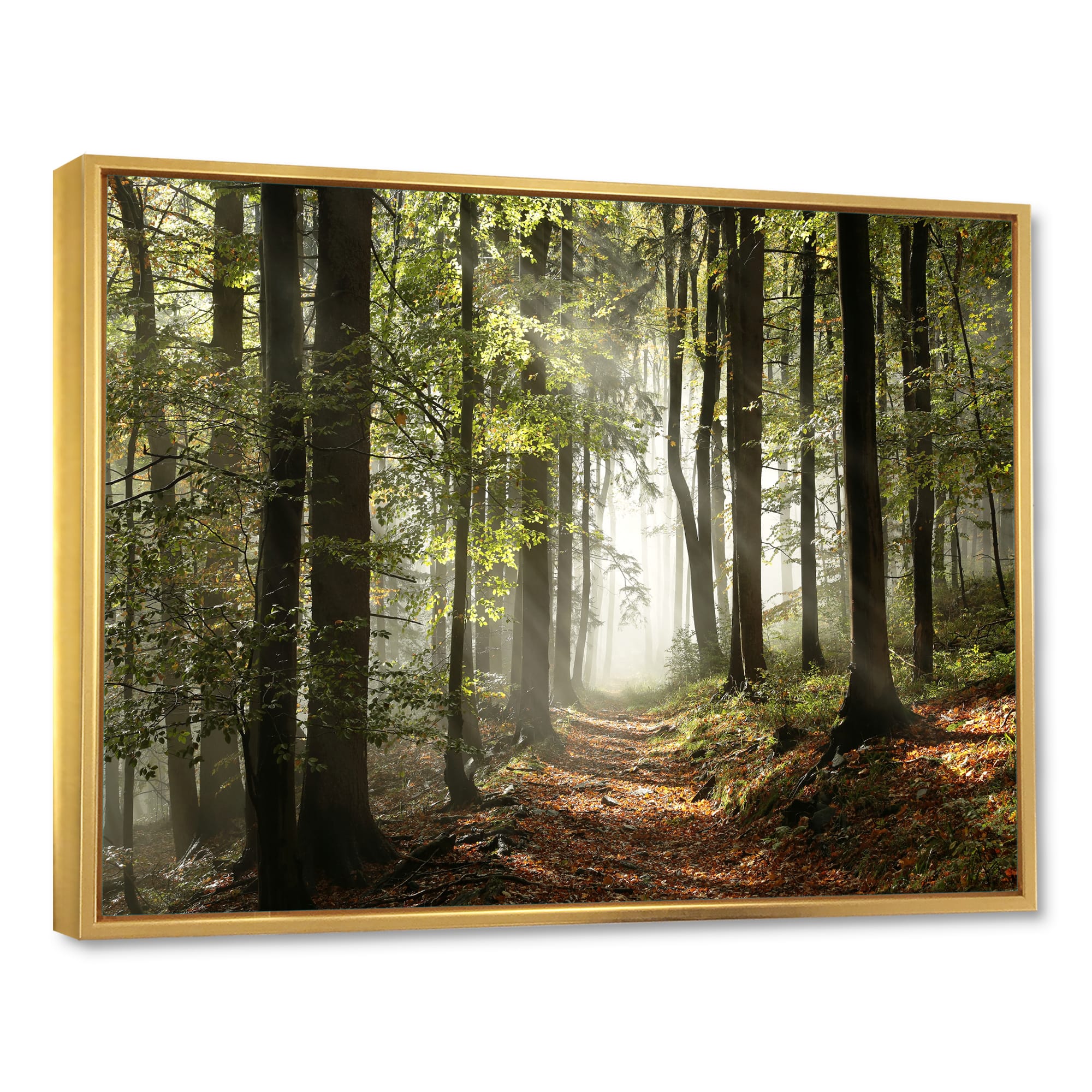 Designart - Green Fall Forest with Sun Rays - Landscape Photography Framed Canvas Print
