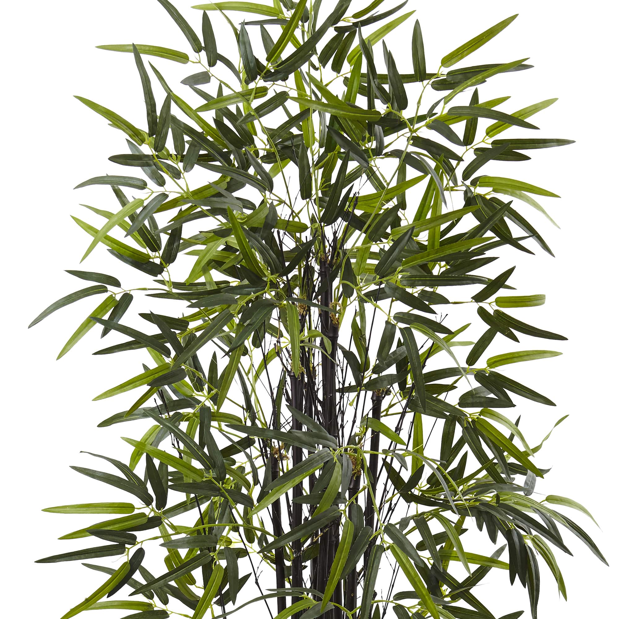 5.5ft. Black Bamboo Tree in Decorative Planter