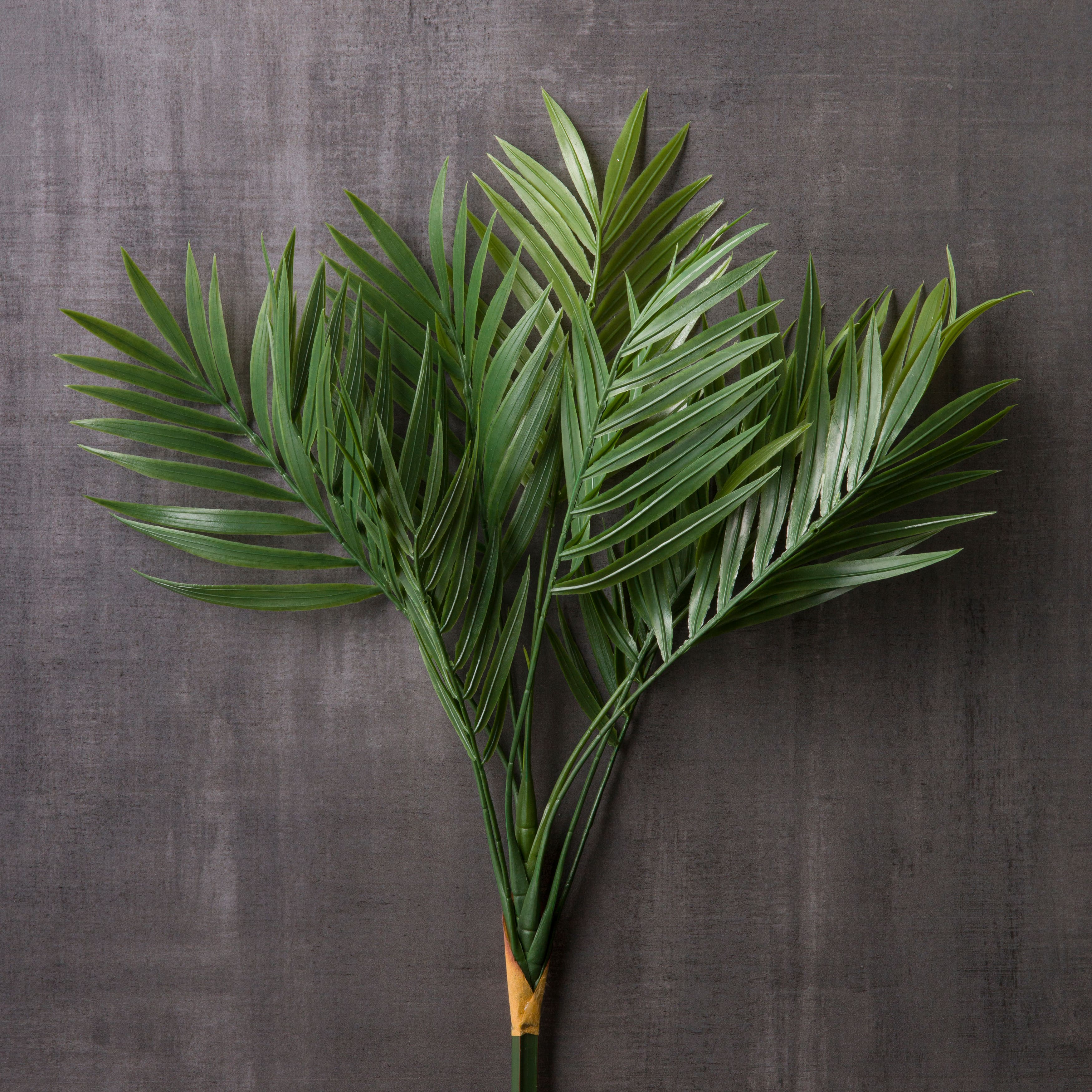 Tropical Palm Stem by Ashland®