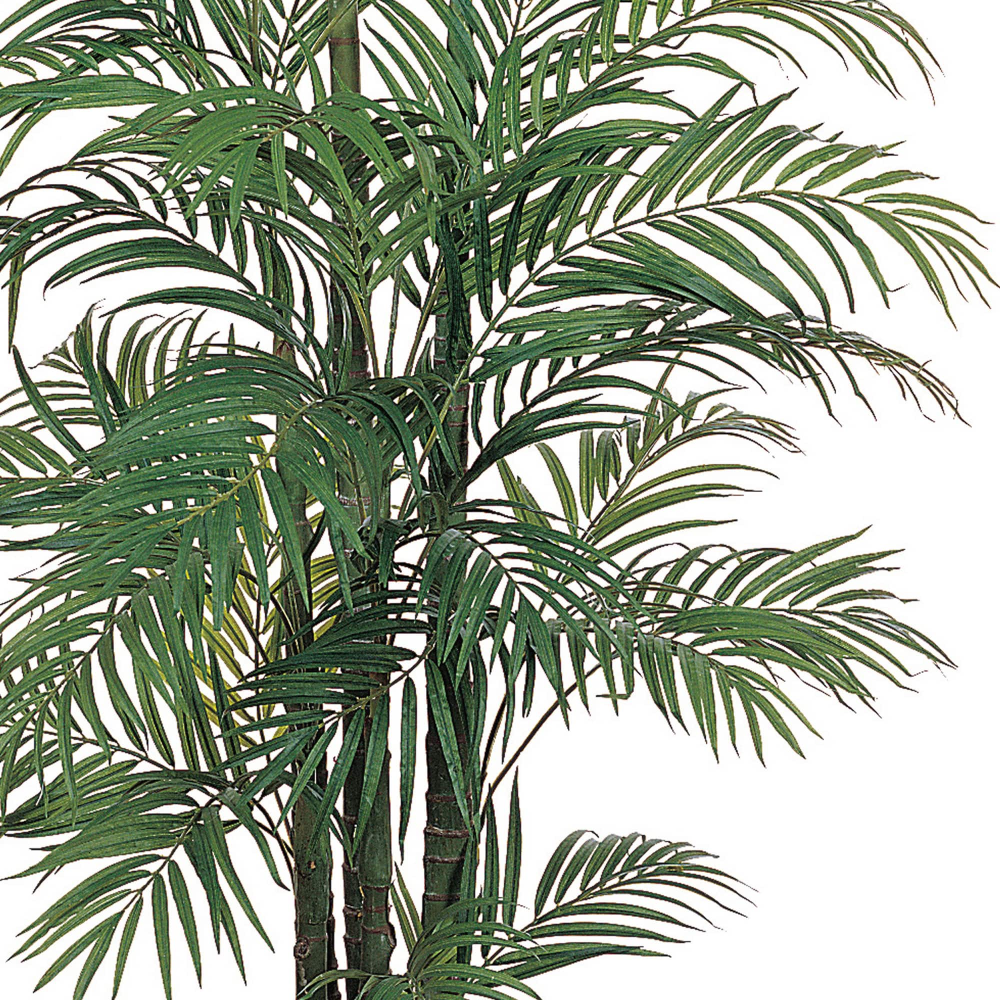 6ft. Potted Areca Silk Palm Tree