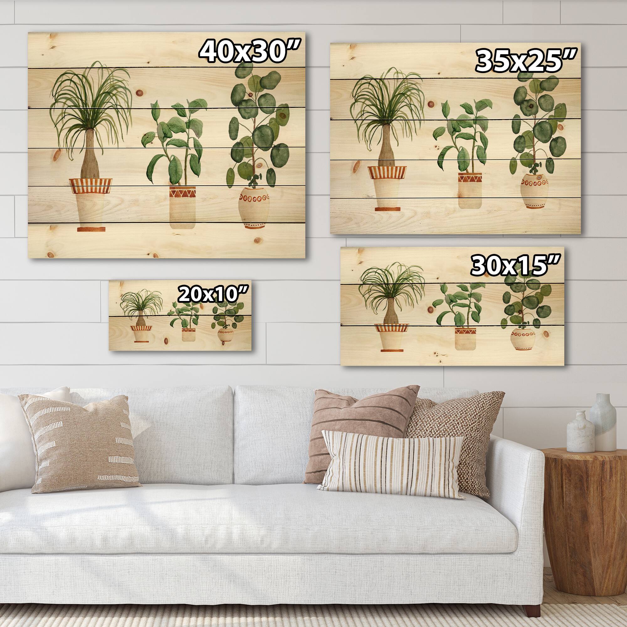 Designart - Trio of House Plants Ponytail Palm and Ficus - Traditional Print on Natural Pine Wood