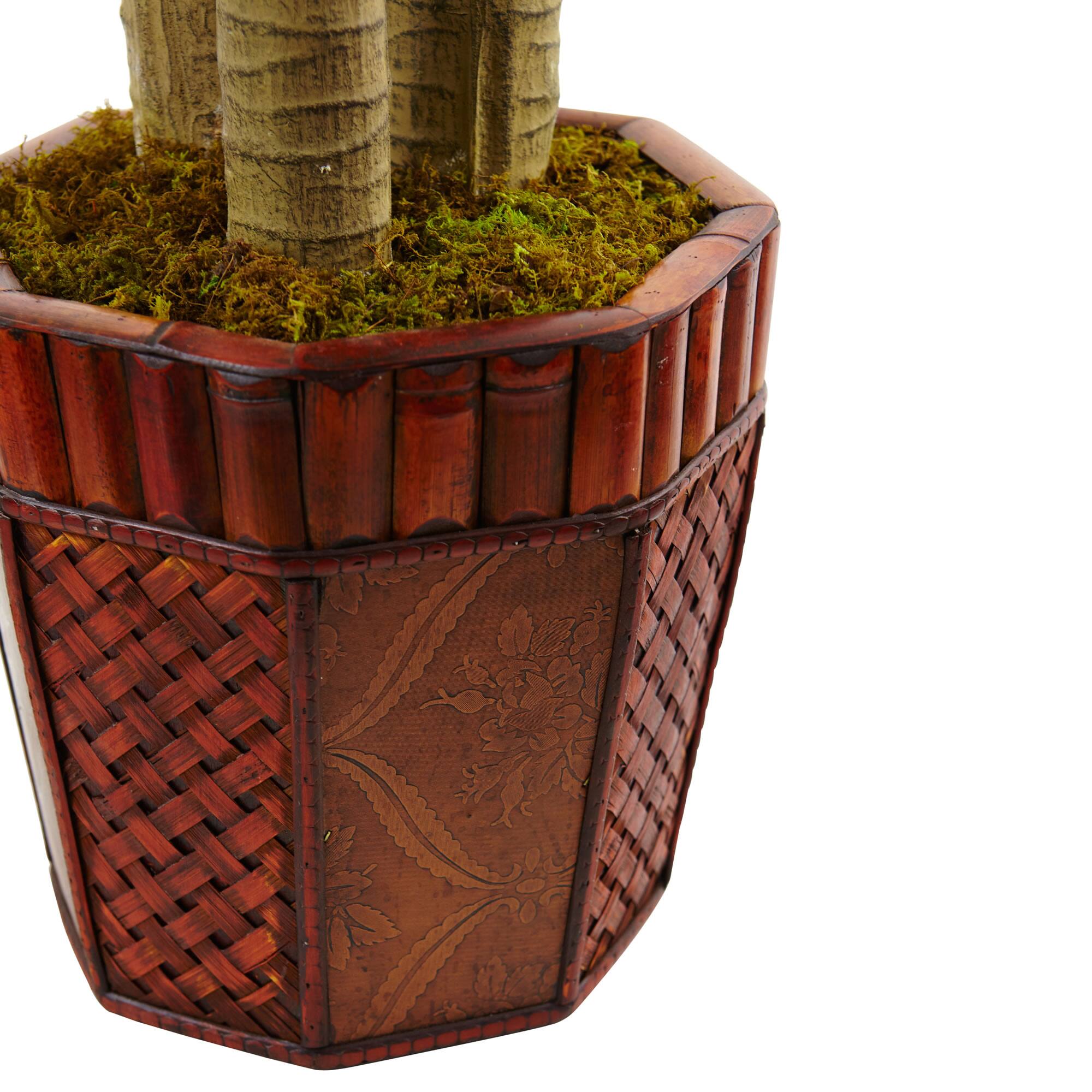 4.5ft. Cornstalk Dracaena in Wooden Planter