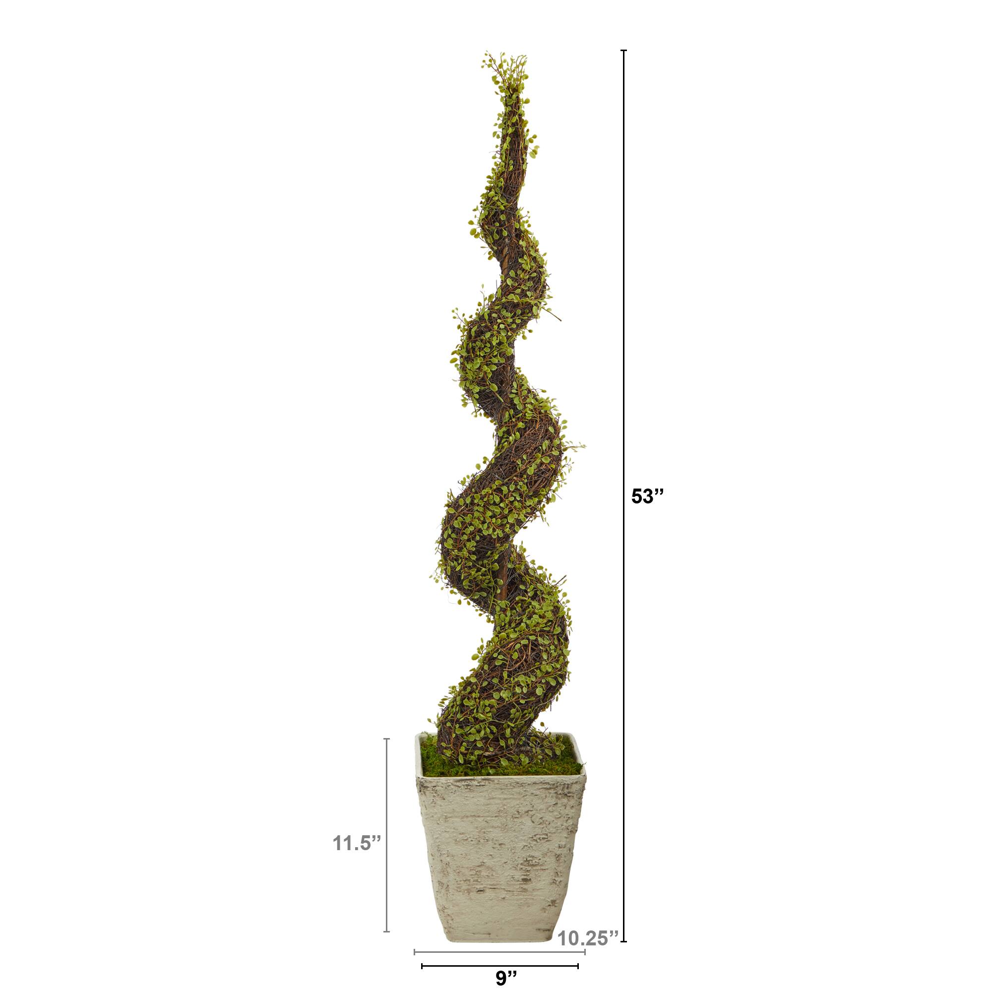 53&#x22; UV Resistant Mohlenbechia Spiral Tree in Country White Planter 