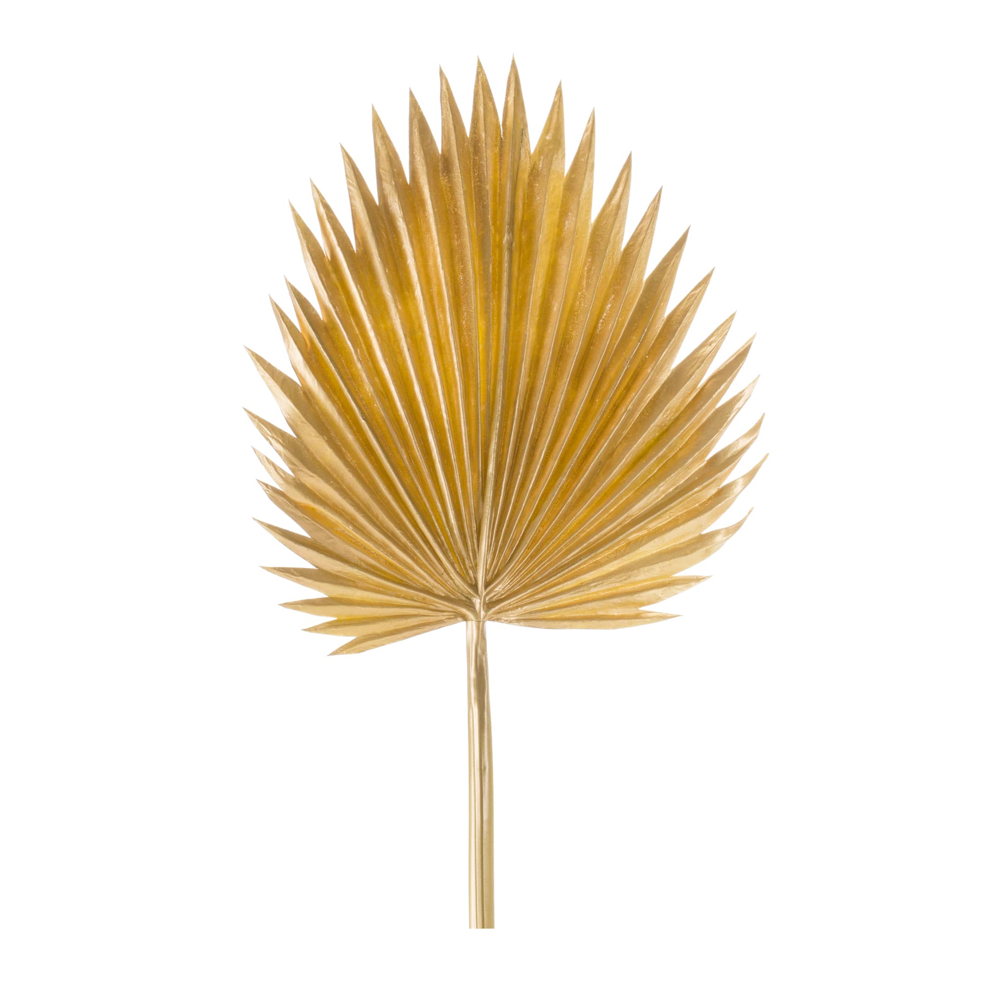 37" Plastic Fan Palm Leaf Set, 6ct.