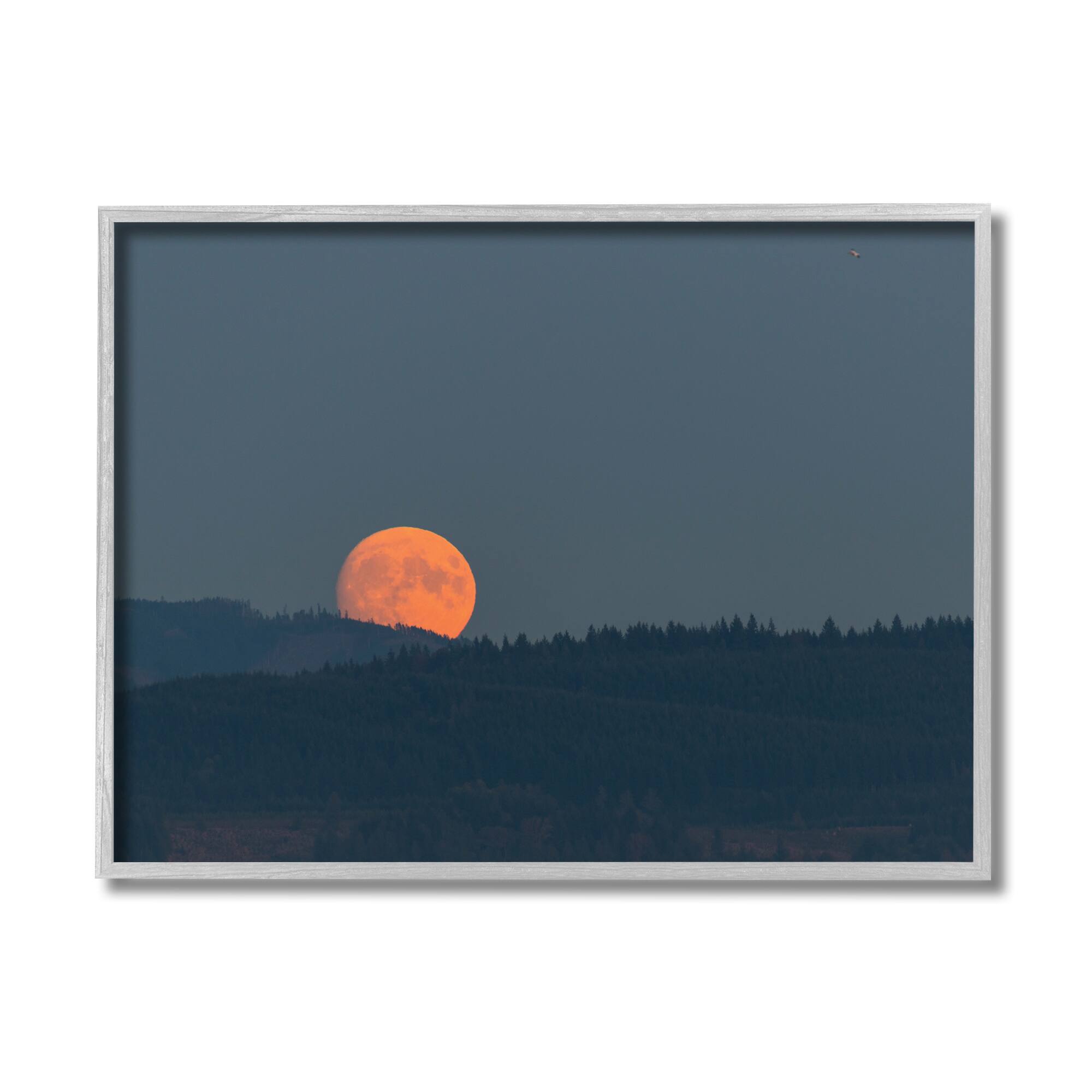Stupell Industries Orange Moon over Dark Mountain Tree Forest in Gray Frame Wall Art in Blue | 16" x 20" | Michaels&reg;