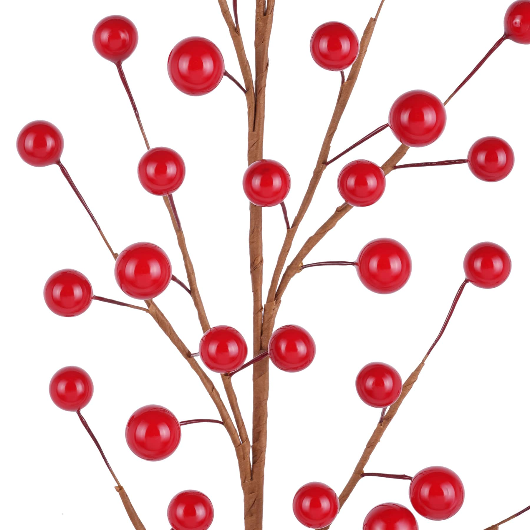 Red Berry Stem by Ashland&#xAE;