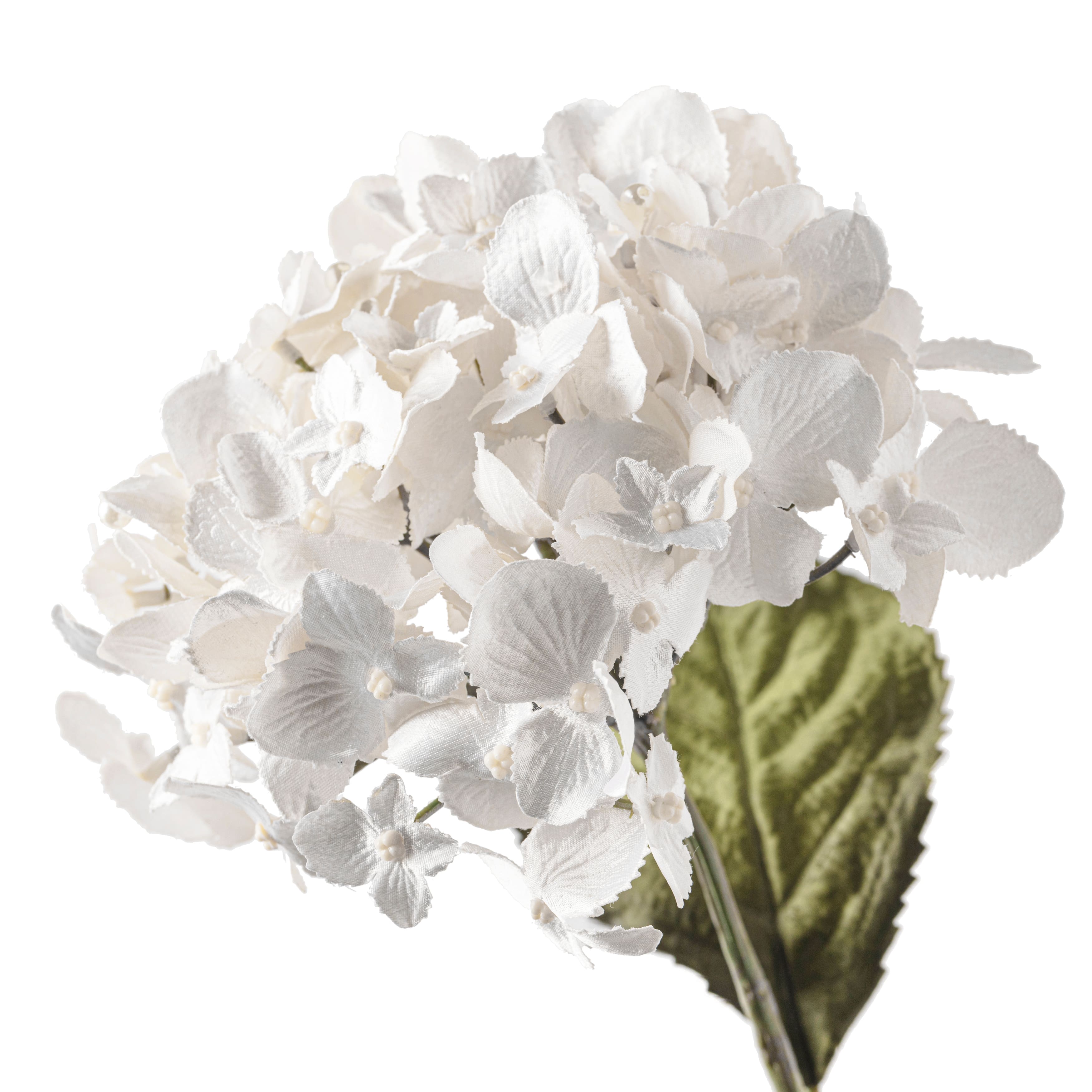 12 Pack: Pearl Hydrangea Stem by Ashland®