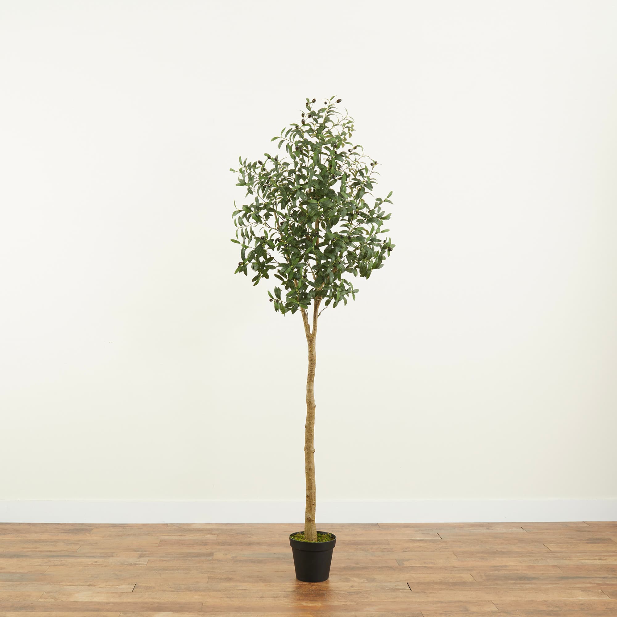 7ft. Potted Artificial Olive Tree
