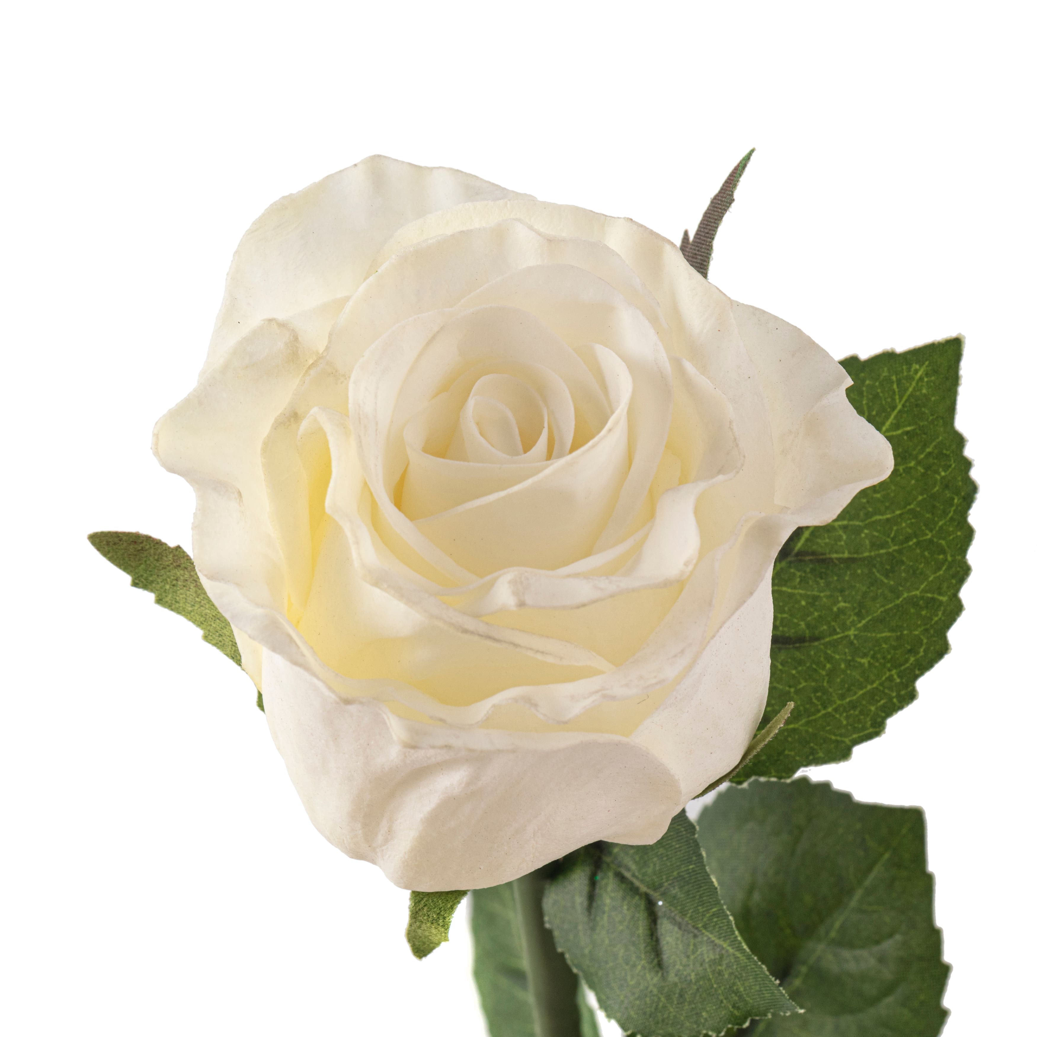 12 Pack: White Faux Rose by Ashland&#xAE;