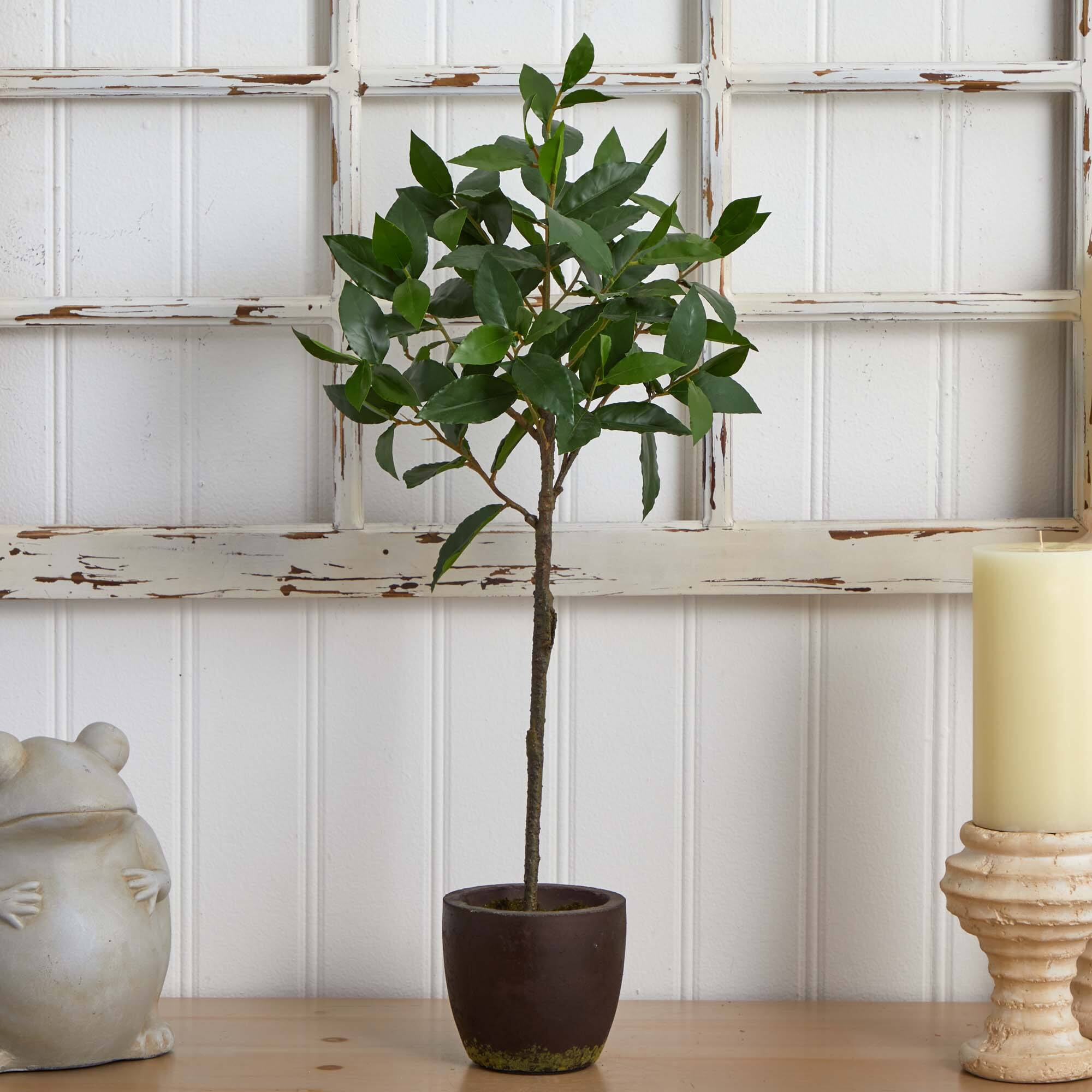 2.5ft. Topiary in Decorative Planter