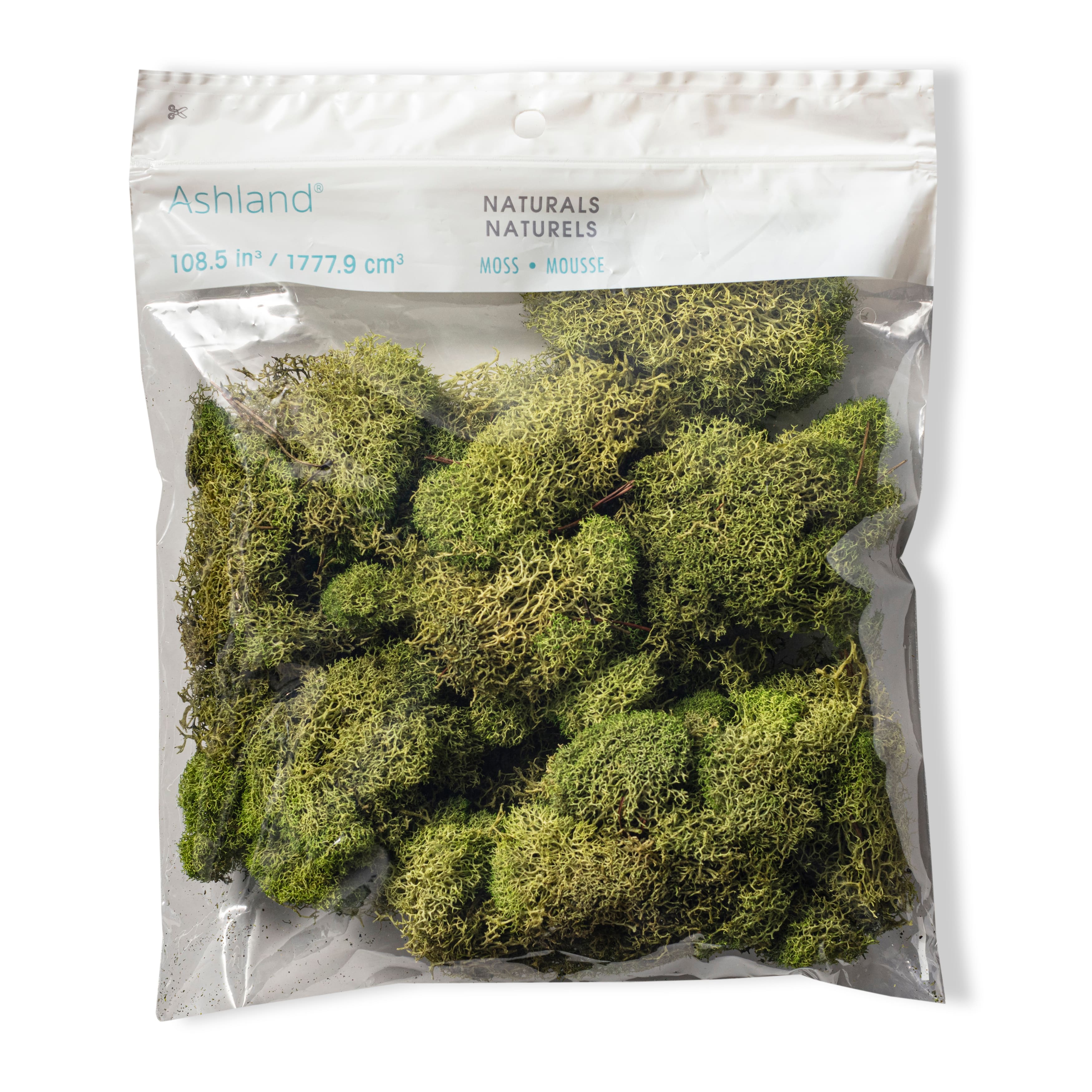 12 Pack: Spring Green Reindeer Moss by Ashland&#xAE;