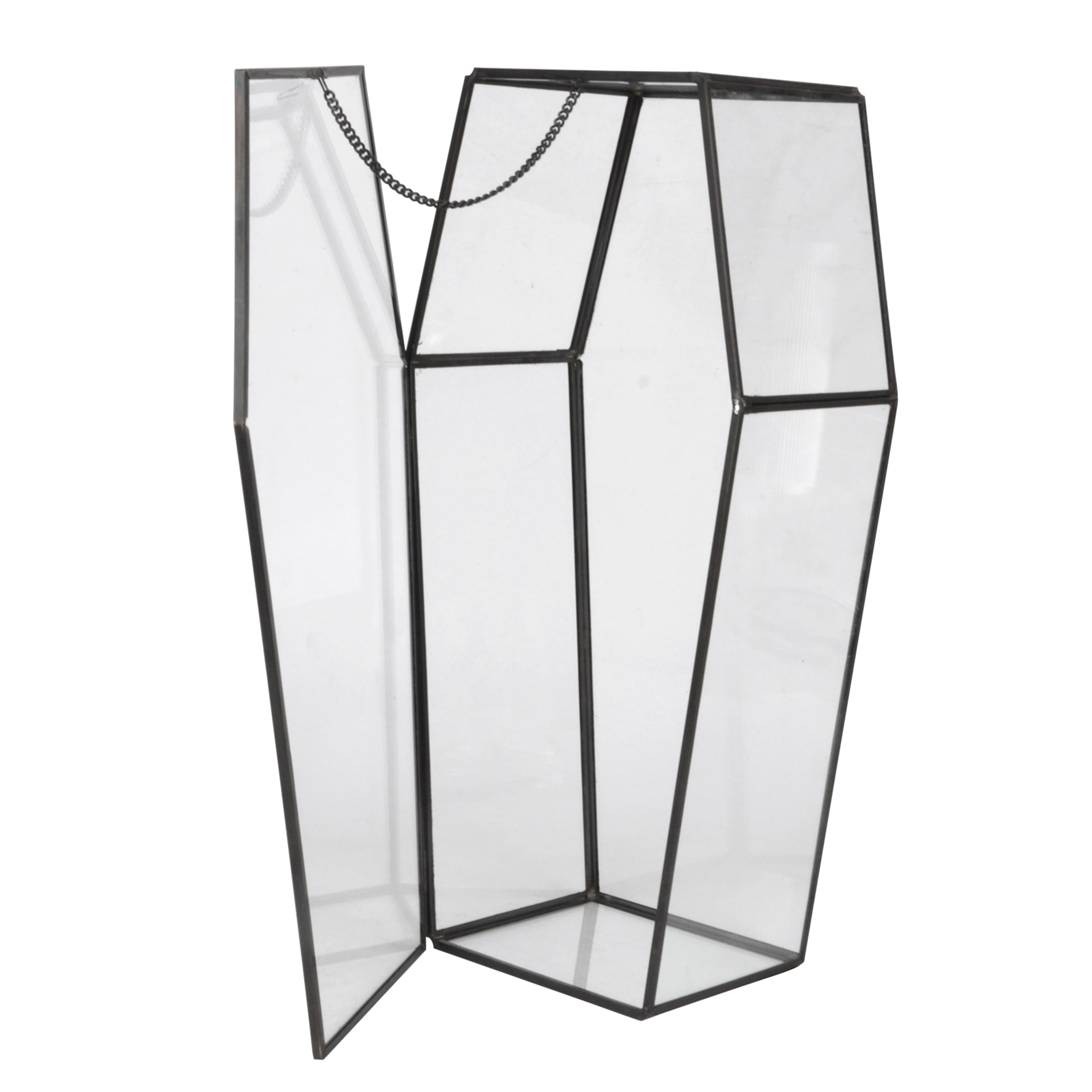 Glass popular coffin terrarium