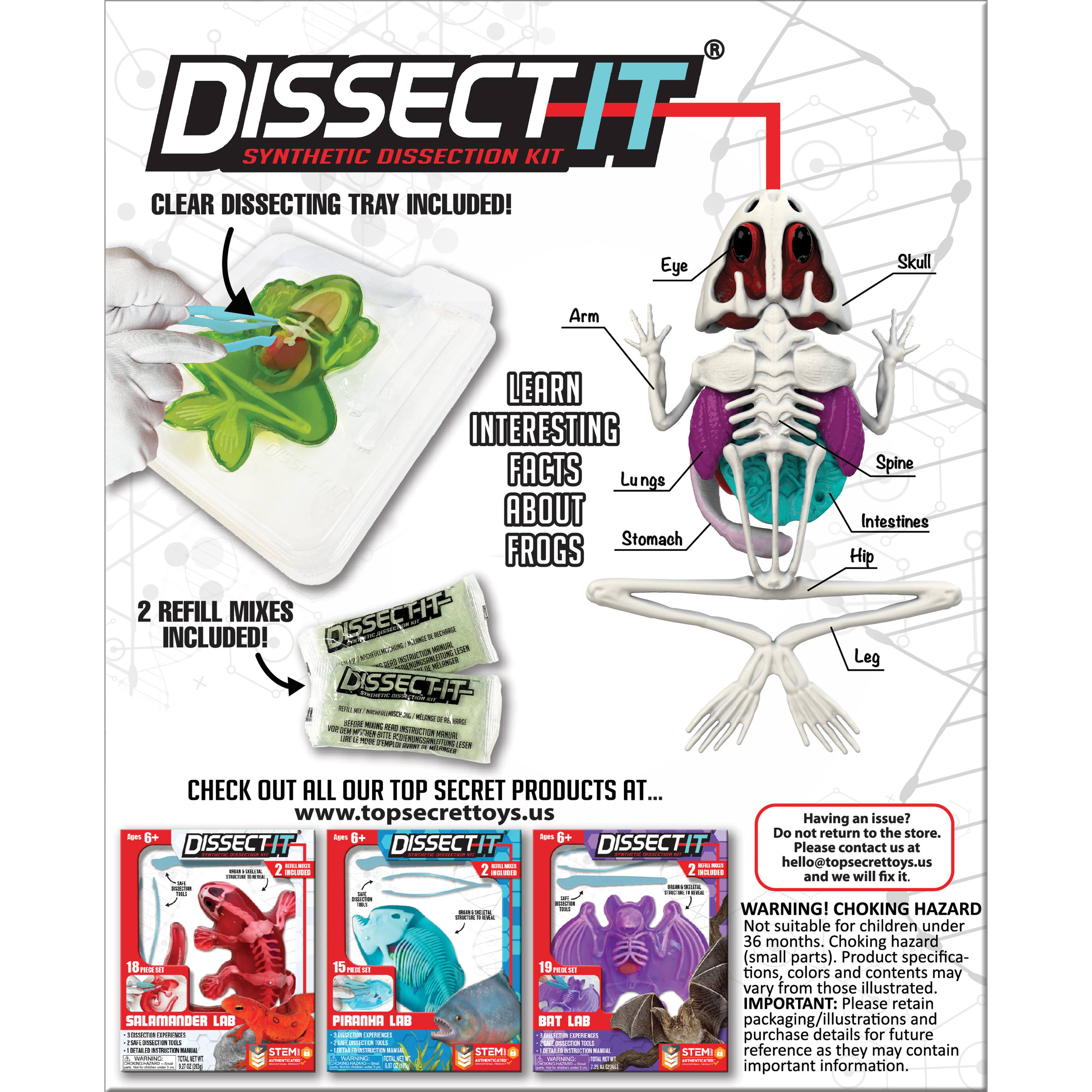 Dissect It® Frog Lab Synthetick Dissection Kit