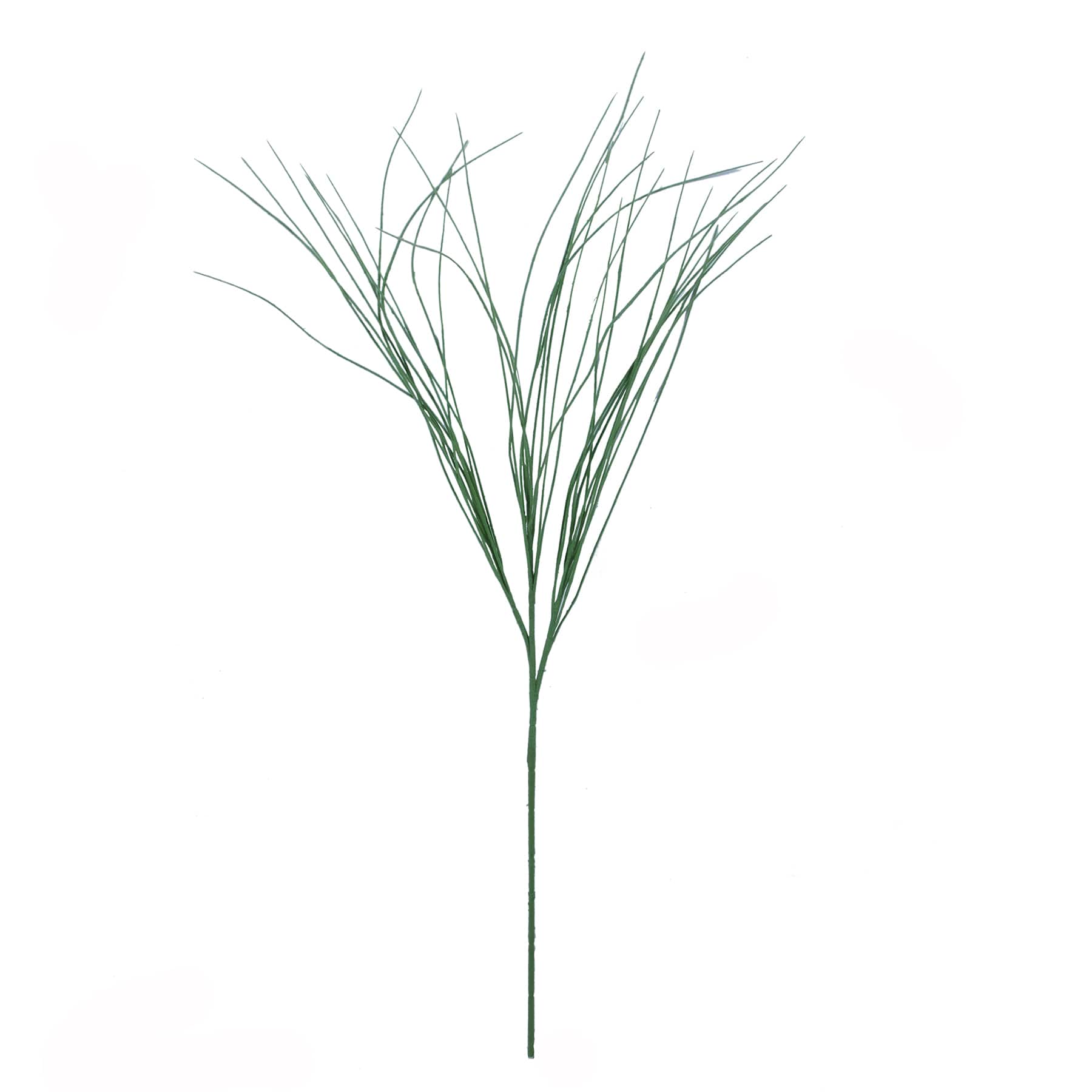 Assorted Branch Twigs by Ashland&#xAE;