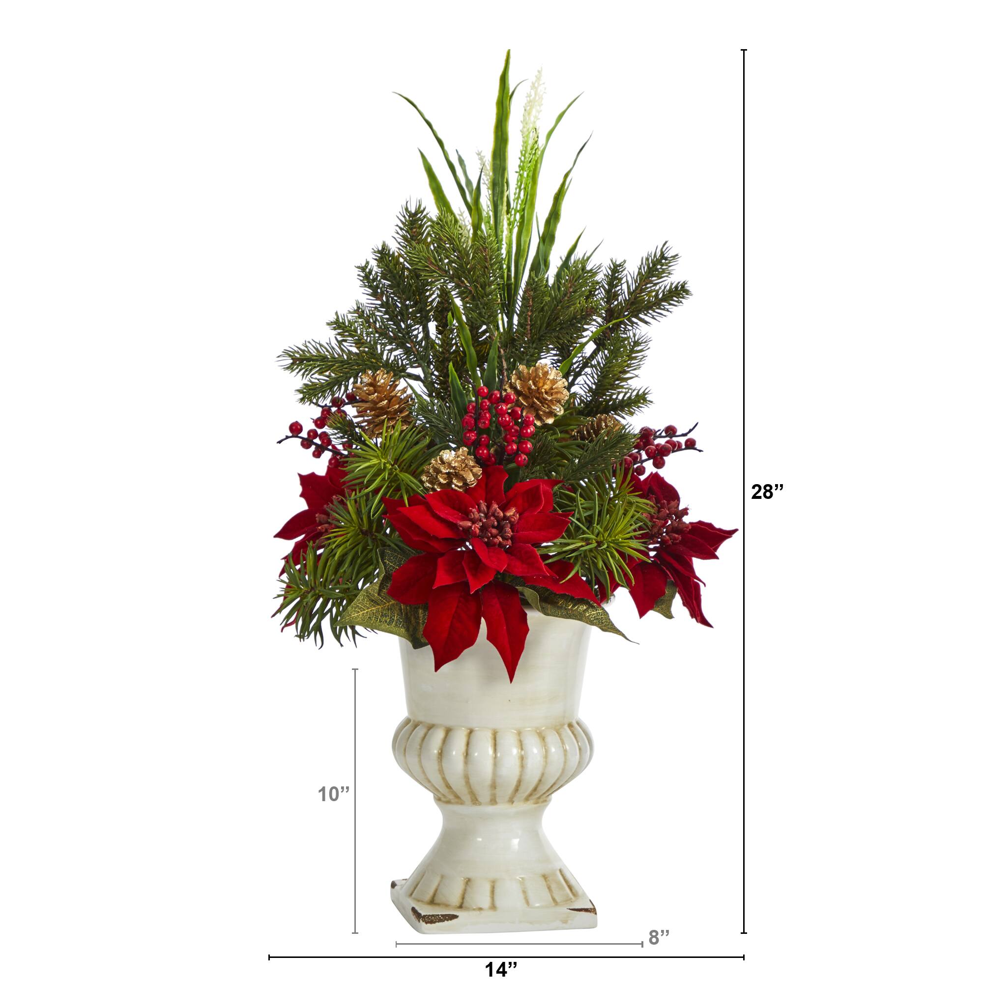 2ft. Poinsettia, Grass & Succulent Arrangement in White Urn