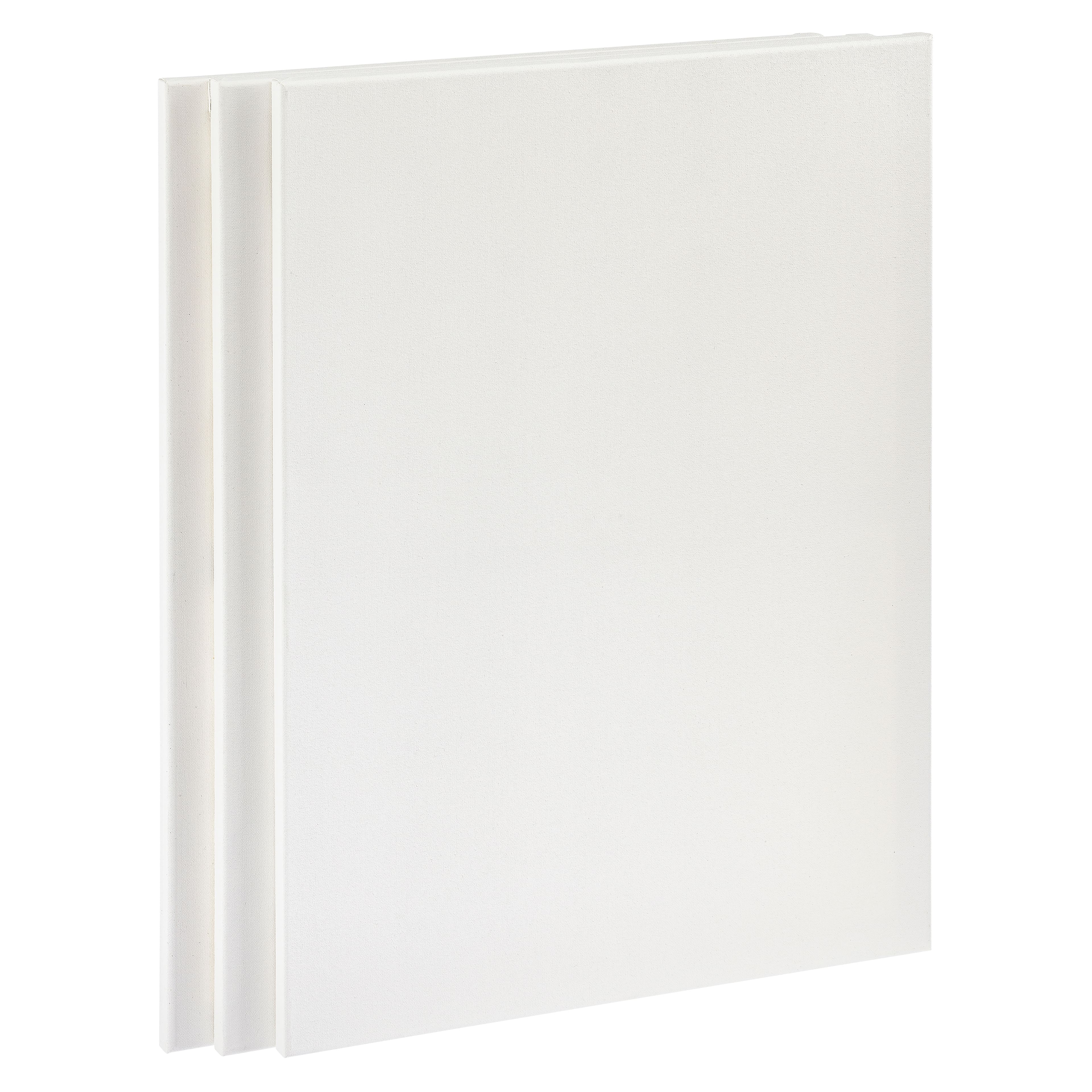 Pragati Systems® Medium Grain 18x24 Inch 7 Oz. Primed Canvas Board for  Painting CP1824, White (Pack of 1)