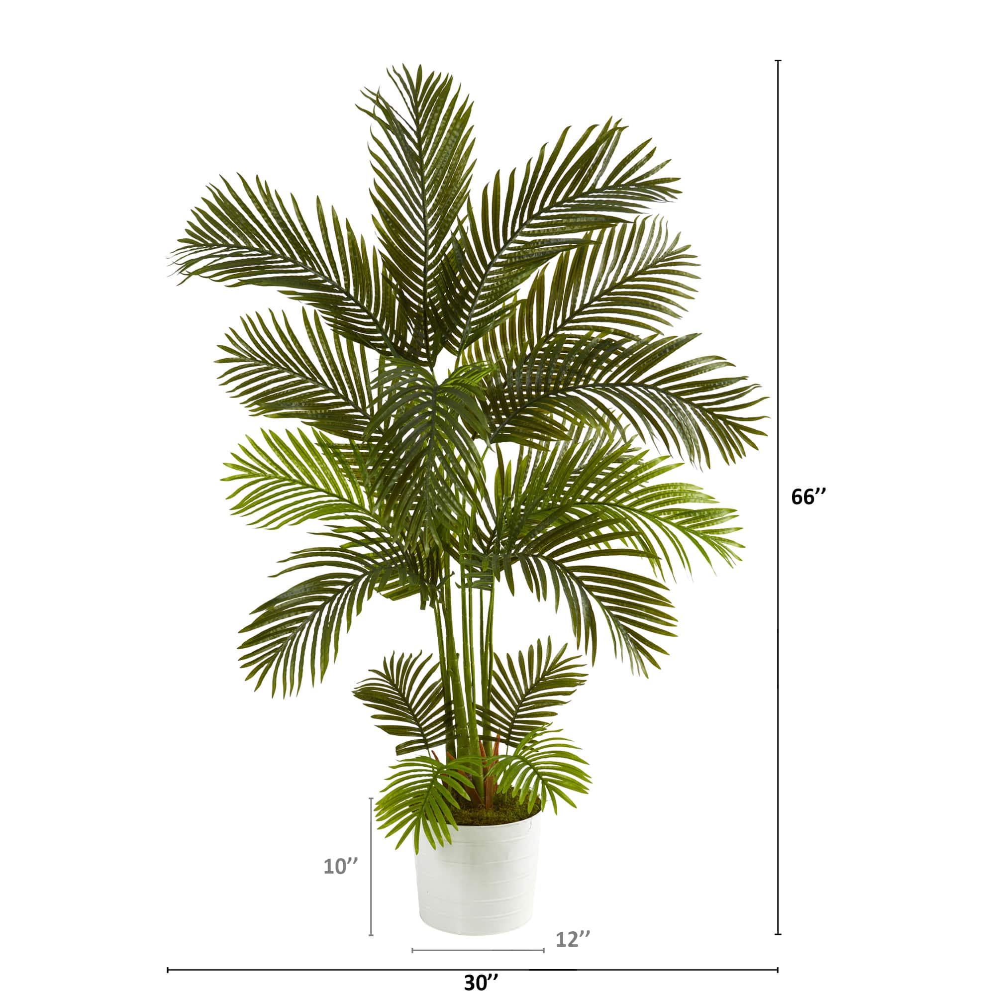 5.5ft. Areca Palm Tree in White Tin Planter
