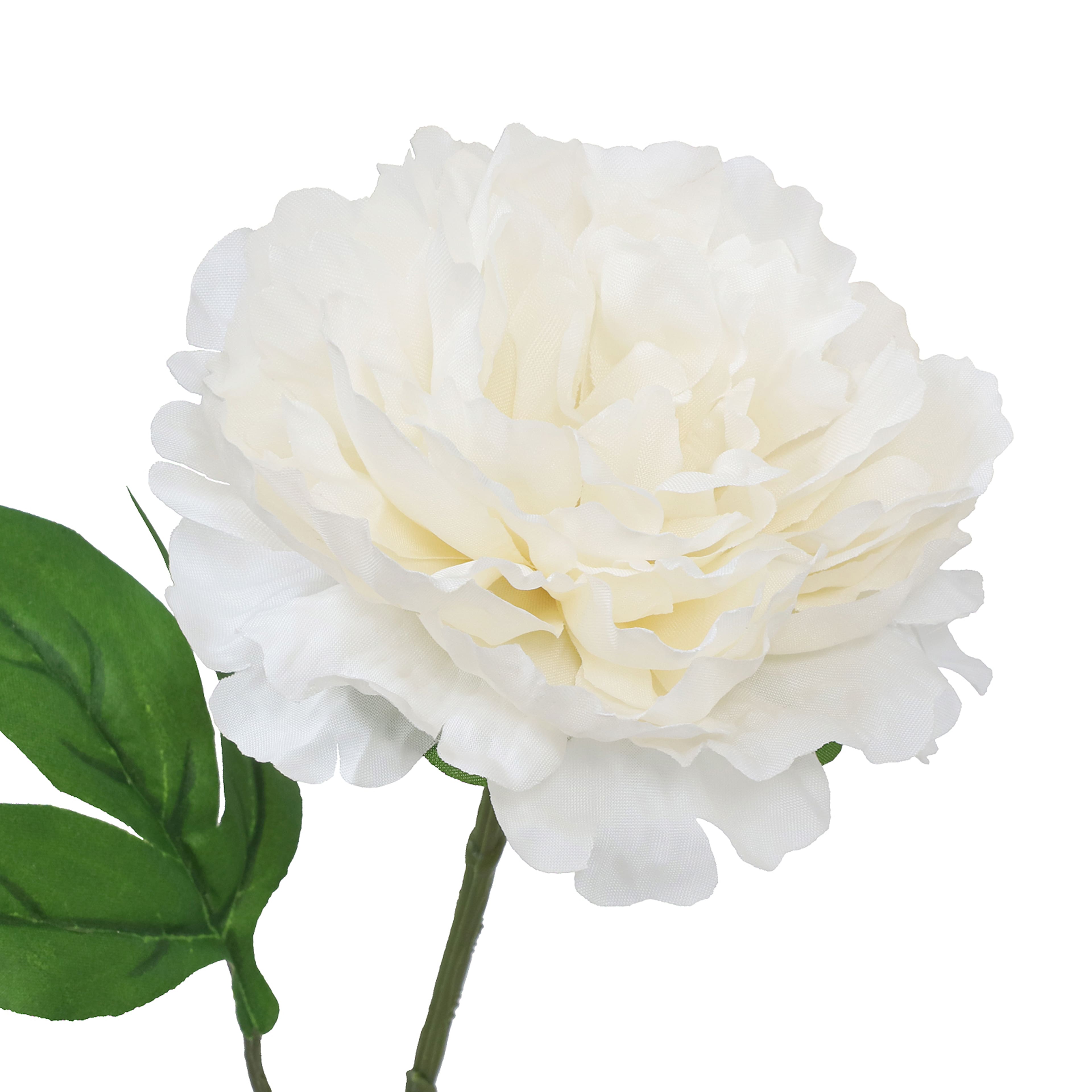 28" Peony Stem by Ashland®