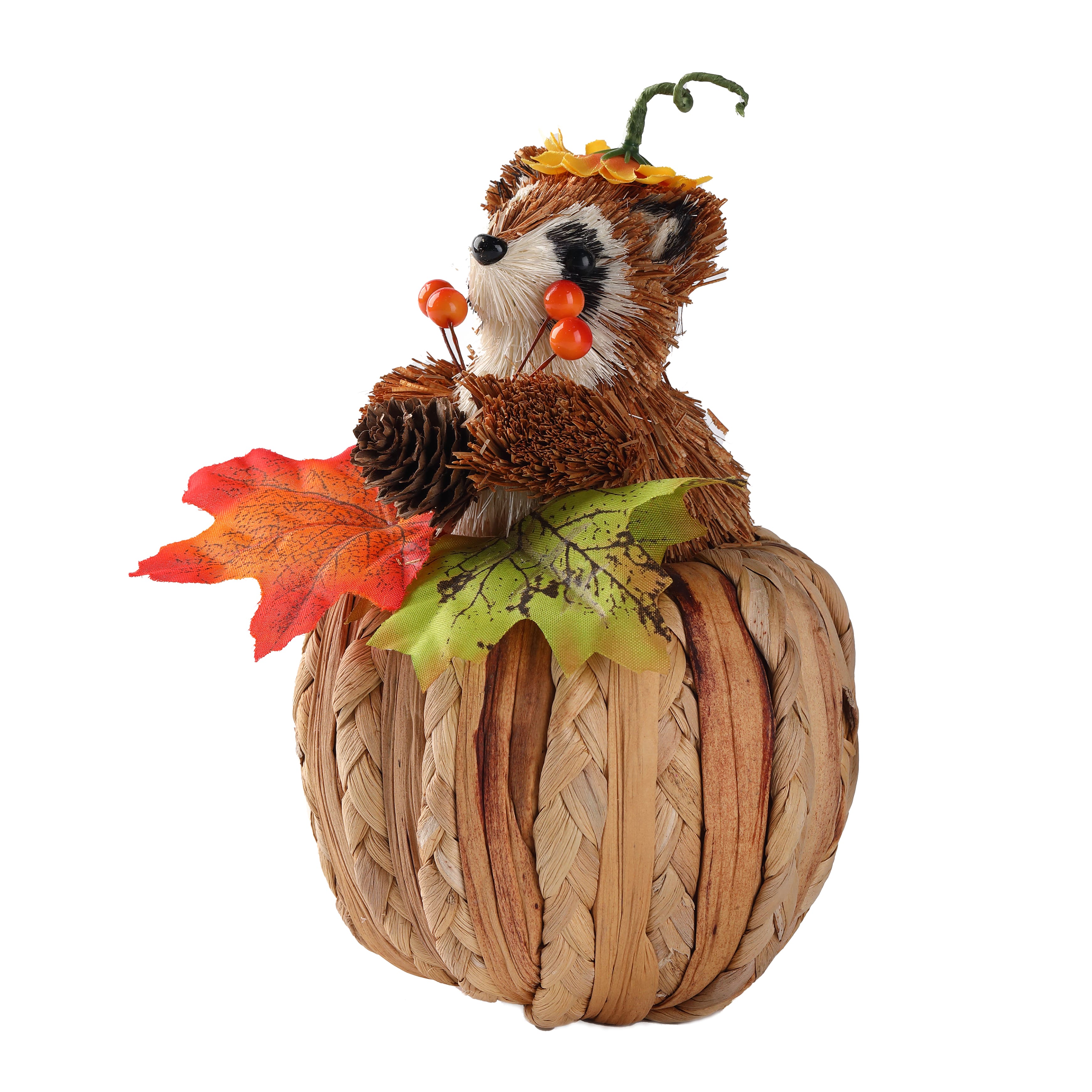 7.5" Raccoon on Pumpkin Natural Décor by Ashland®