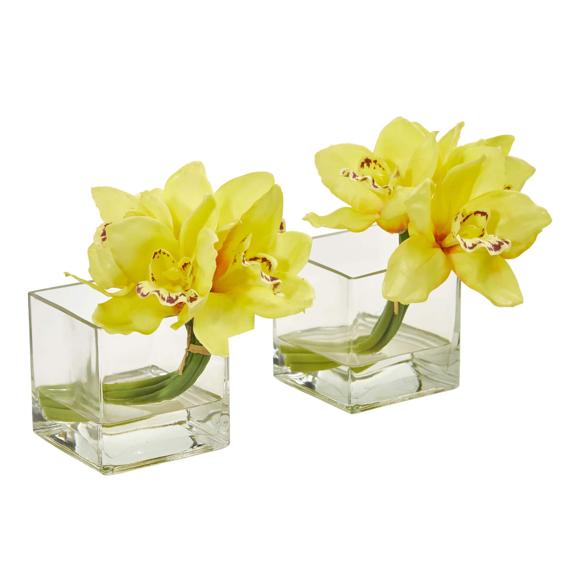 8" Boat Orchid Arrangement in Glass Vase