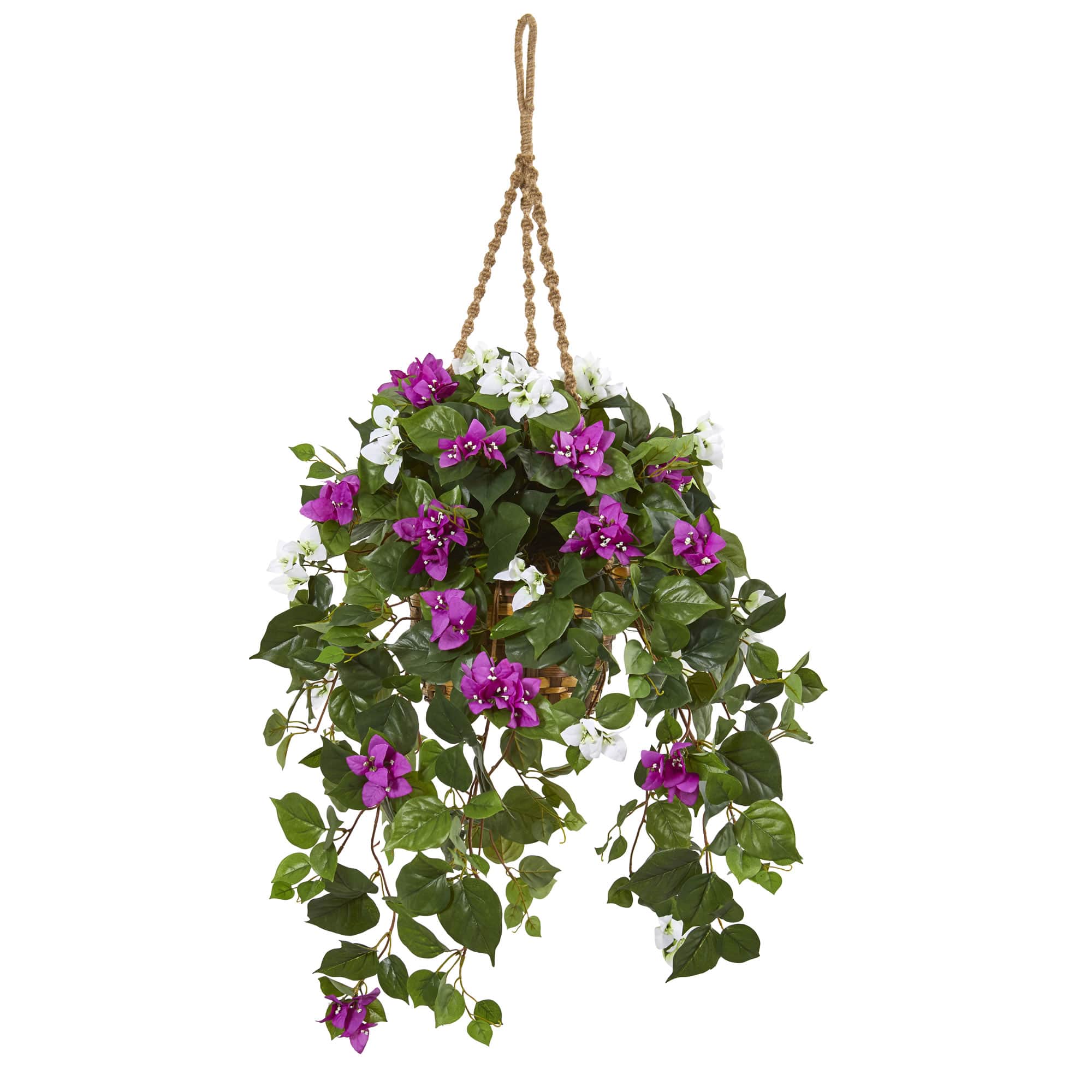 2.5ft. Mixed Bougainvillea in Hanging Basket