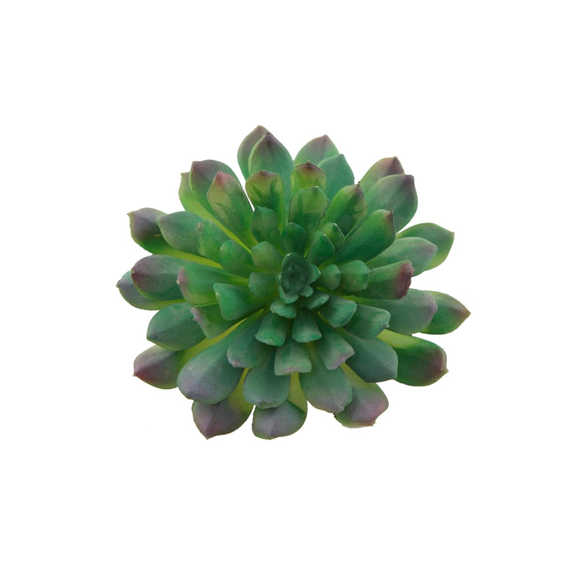 Flora Bunda&#xAE; Succulent Pick, 6ct.