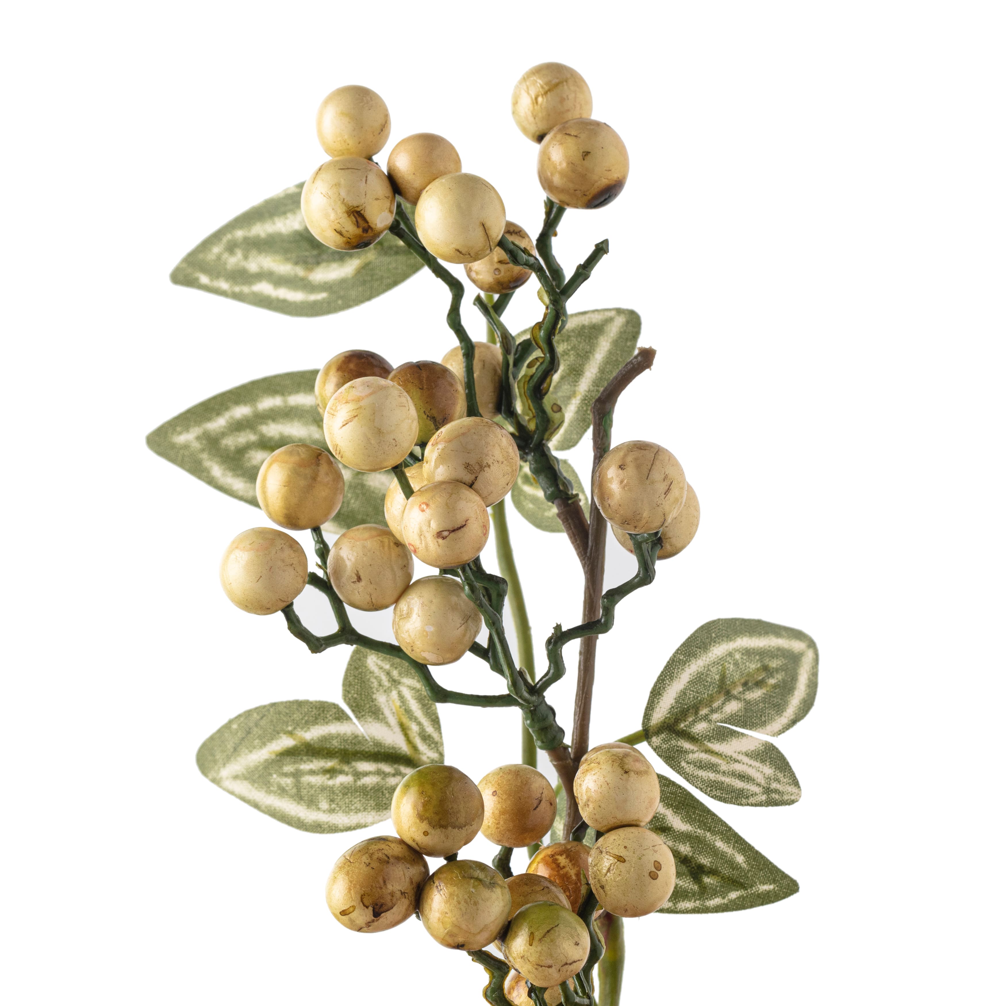 Yellow &#x26; Green Berry Stem with Leaves by Ashland&#xAE;
