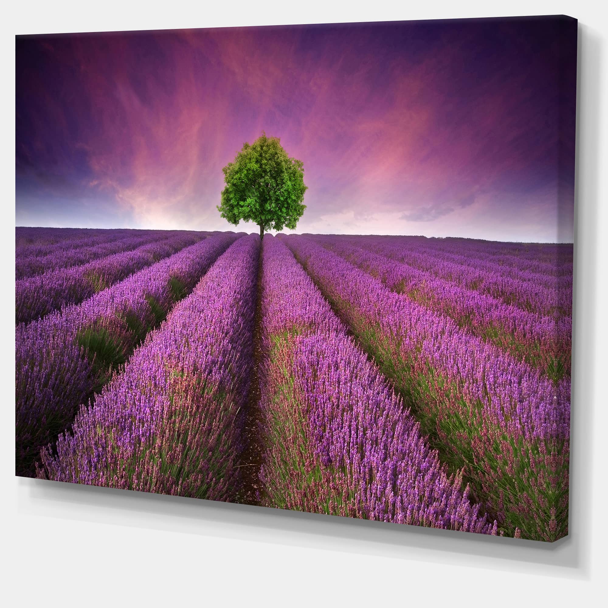 Designart - Lavender Field Sunset with Single Tree - Floral Canvas Art Print