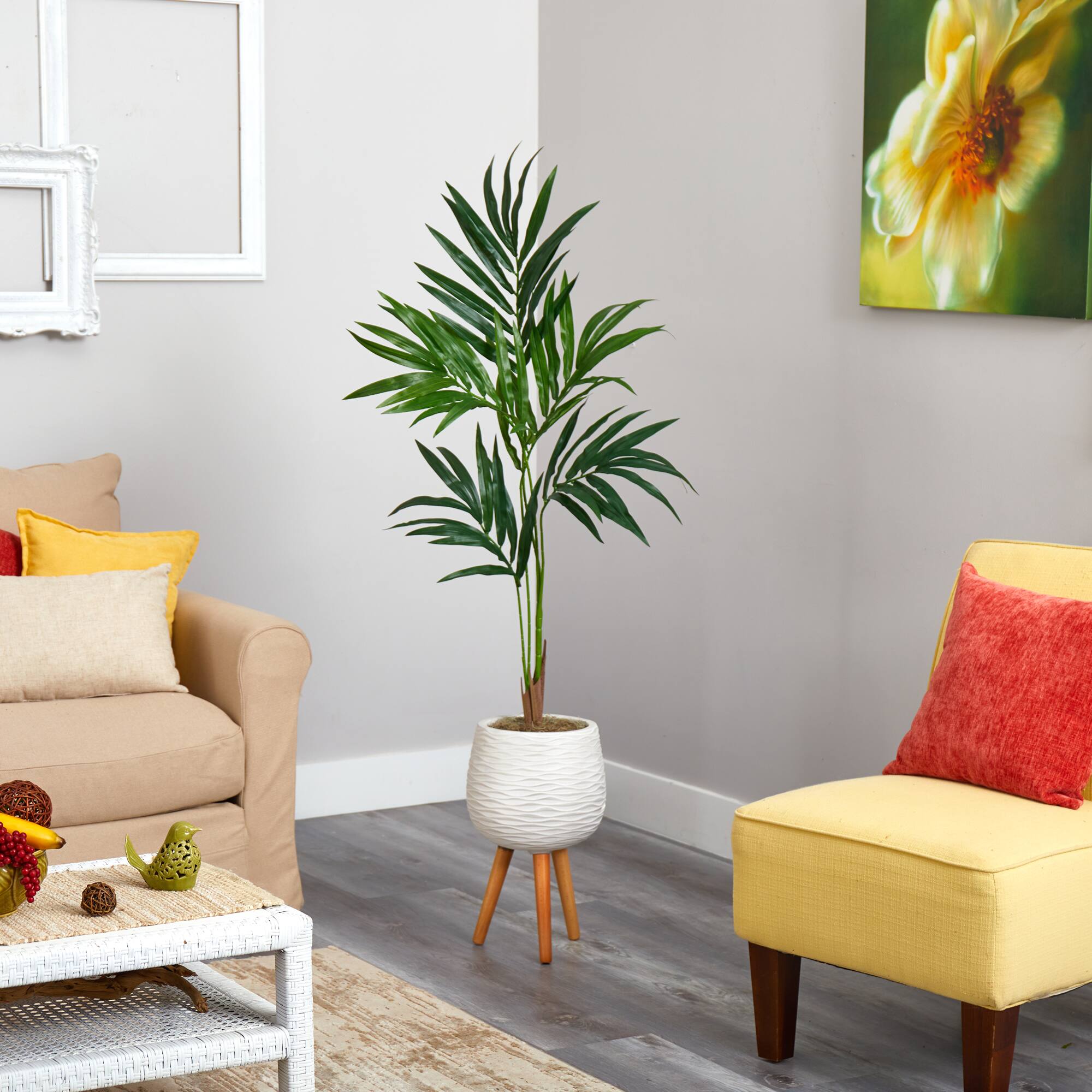 5ft. Kentia Palm Tree in White Planter with Stand