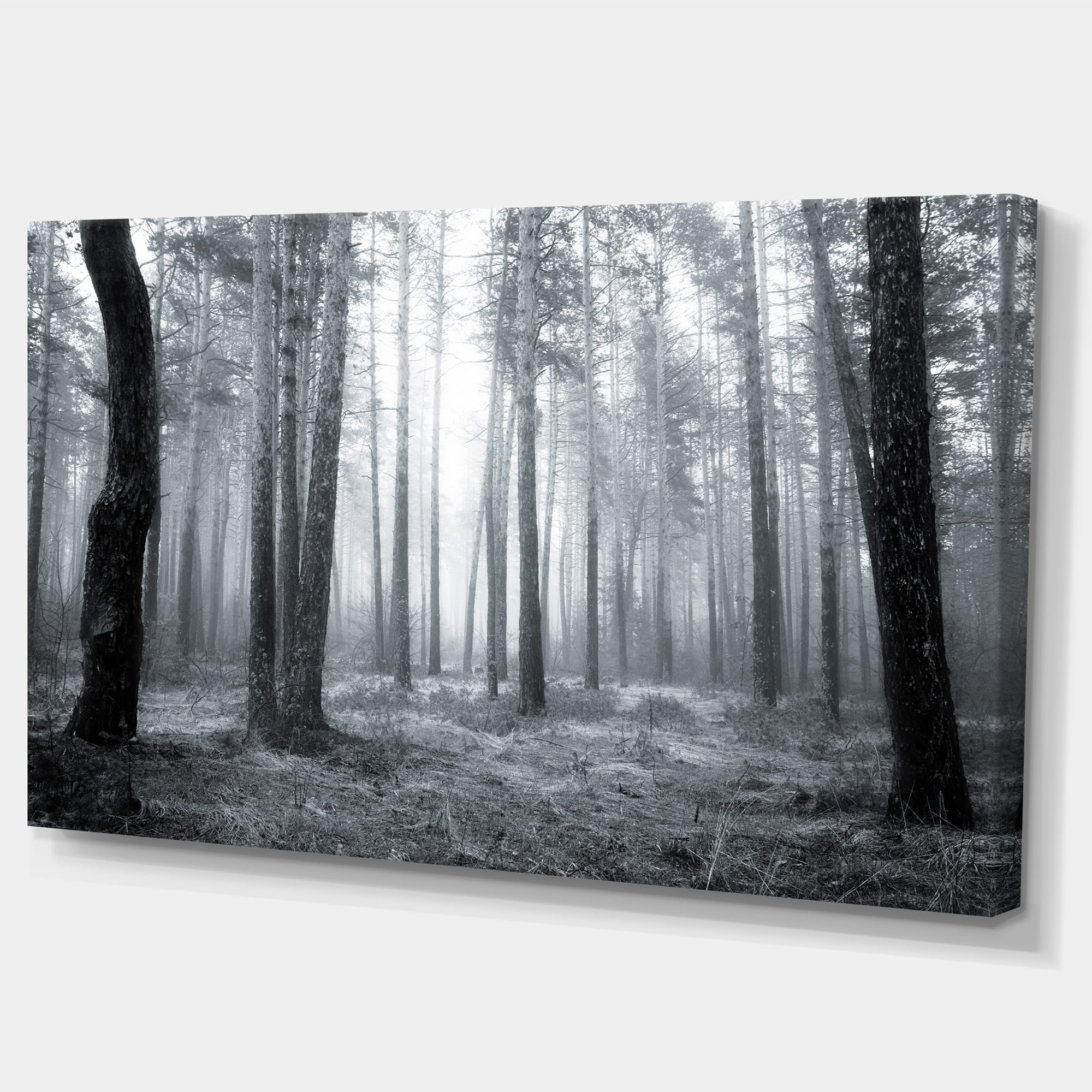 Designart - Black and White Foggy Forest - Forest Canvas Art Print