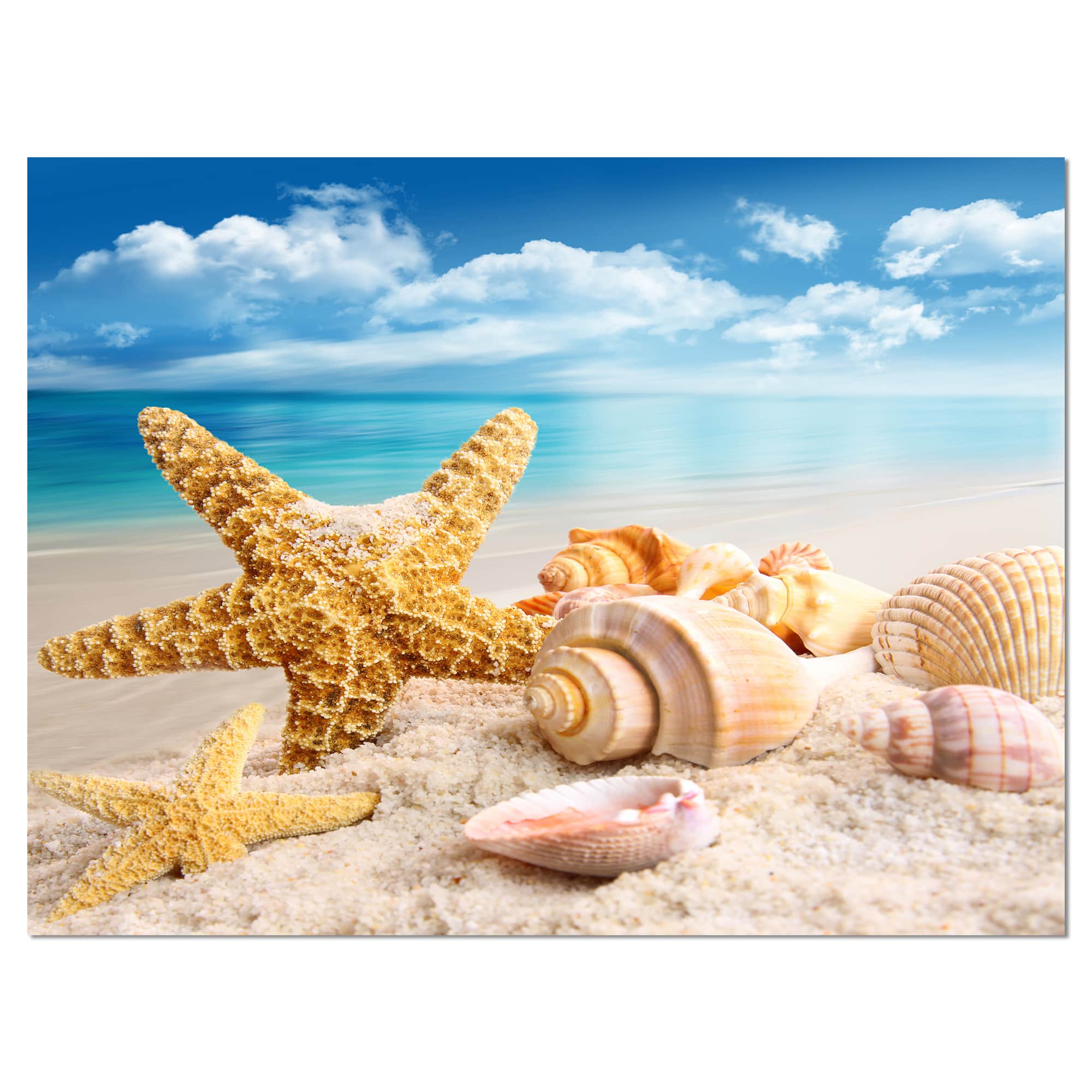 Designart - Starfish and Seashells on Beach - Seashore Photo Canvas Art Print
