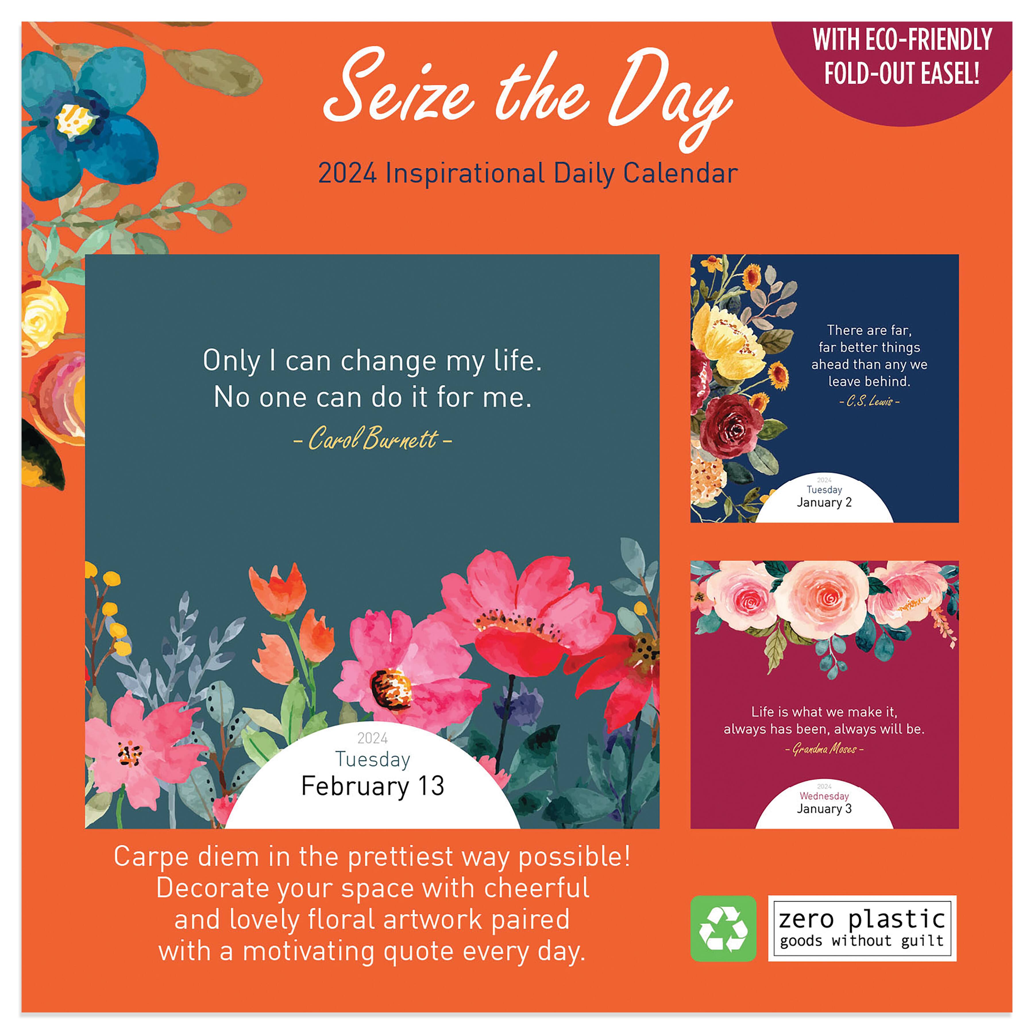 TF Publishing 2024 Seize the Day Daily Desktop Calendar