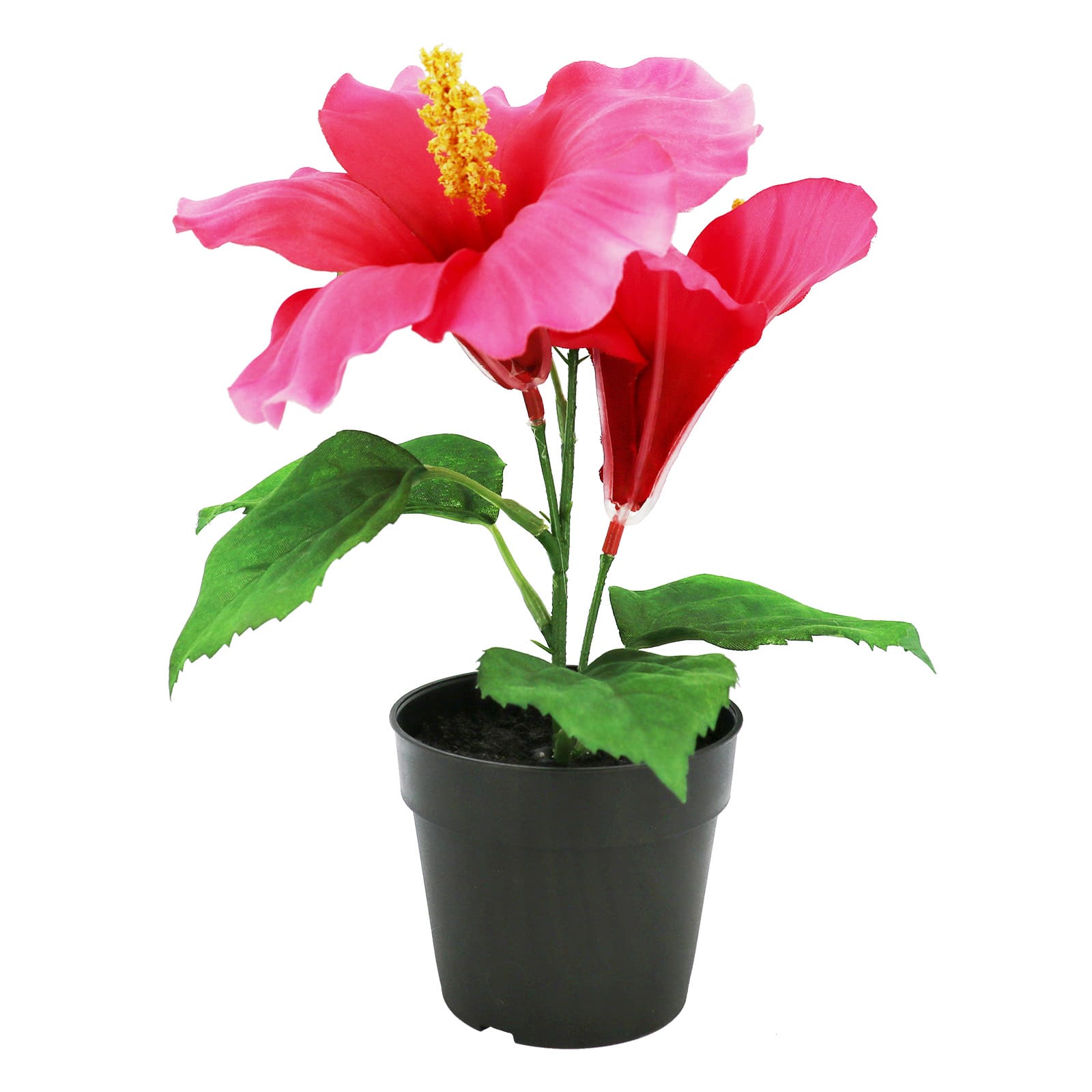 8.5&#x22; Potted Hibiscus Plant by Ashland&#xAE;