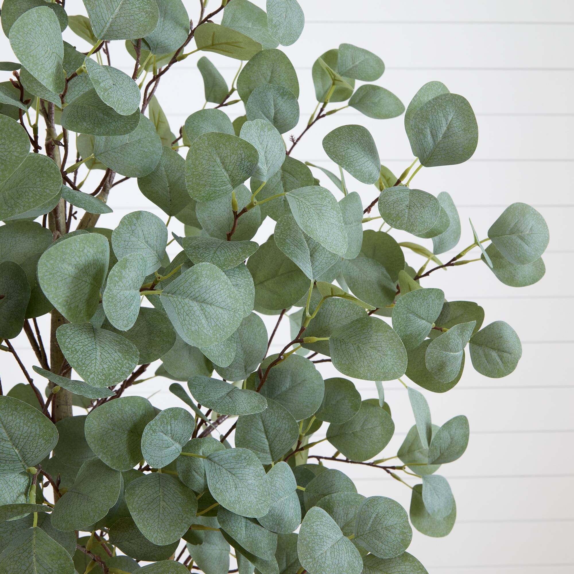 6ft. Potted Artificial Eucalyptus Tree