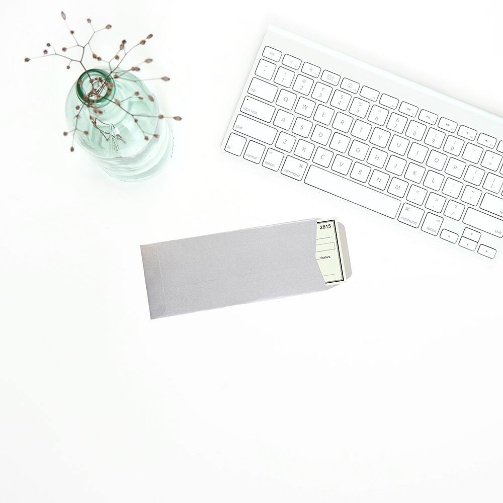 JAM Paper #10 Policy Metallic Business Envelopes, 50ct.