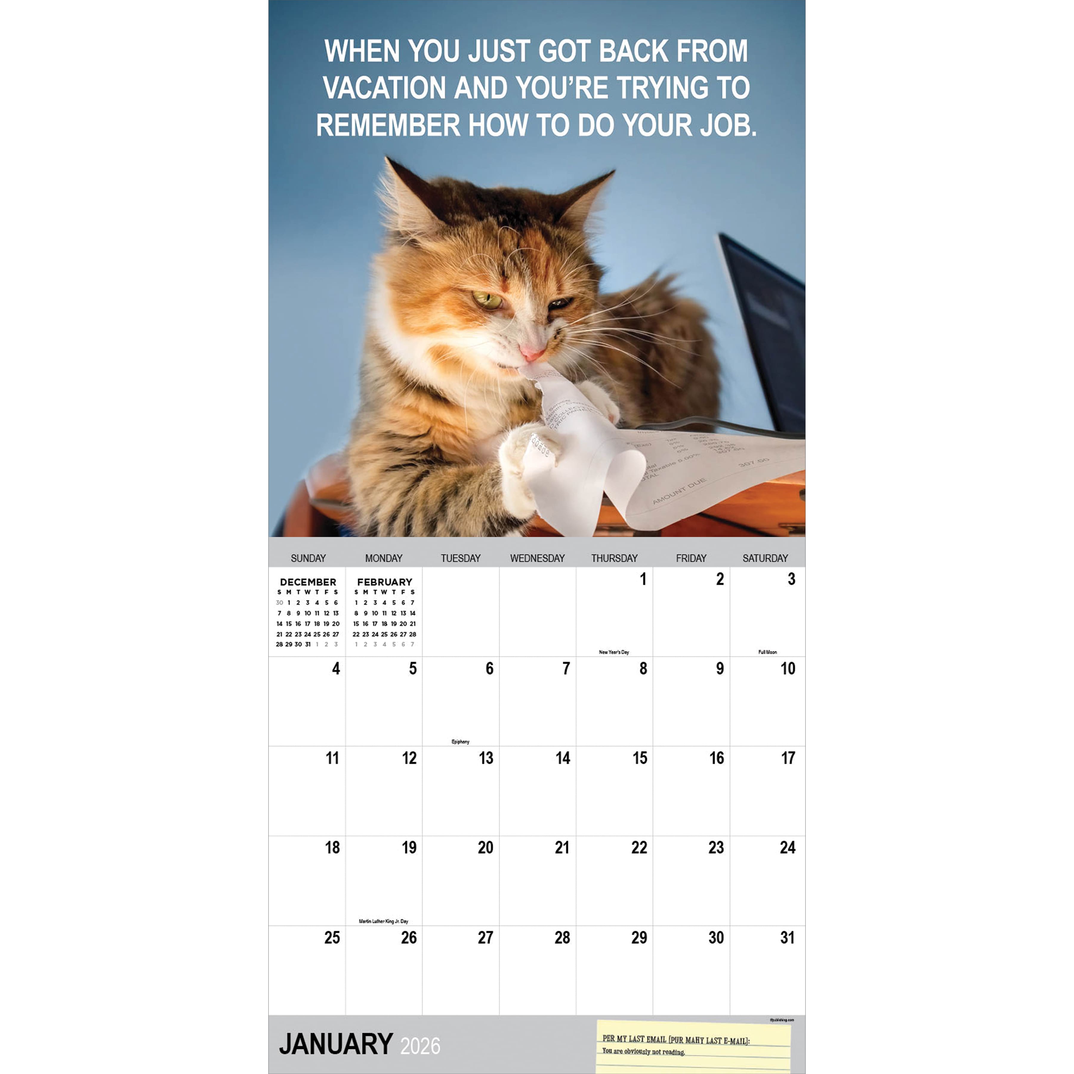 2026 Corporate Cats Wall Calendar