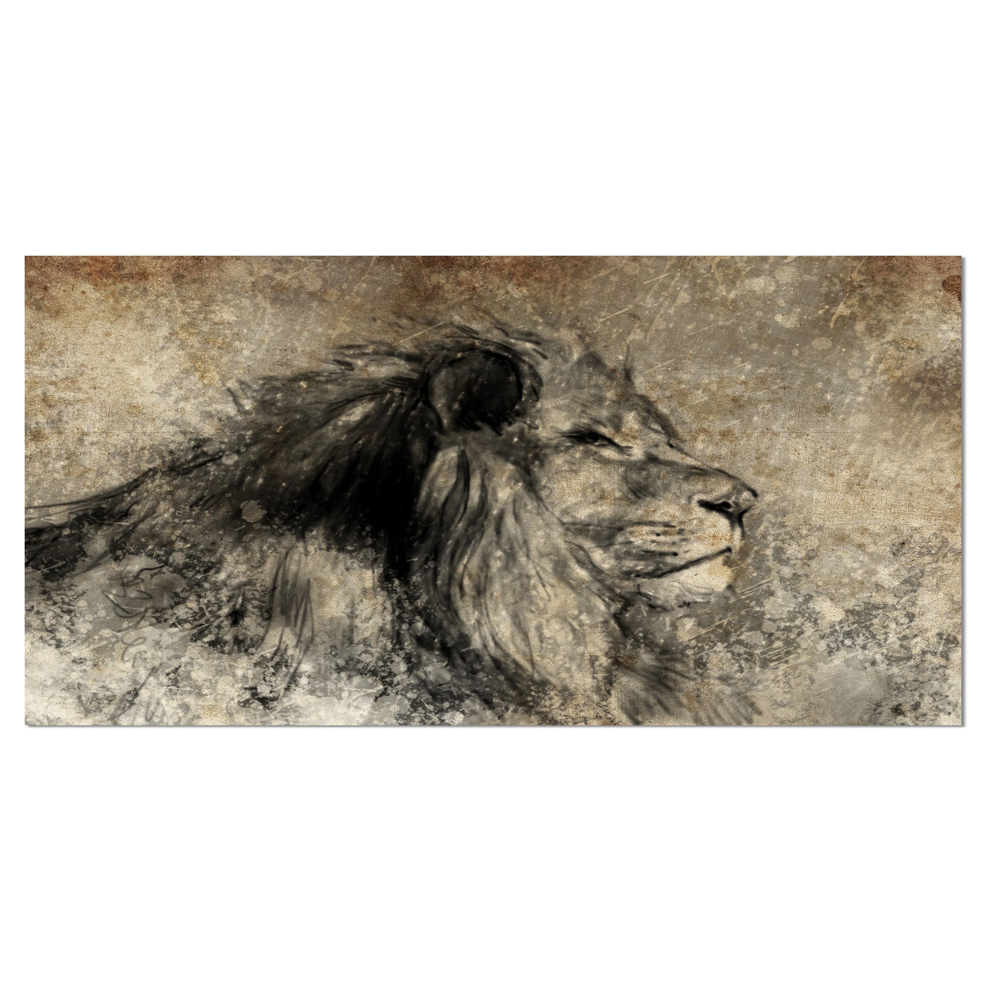Designart - Lion in Sepia - Animal Canvas Art Print