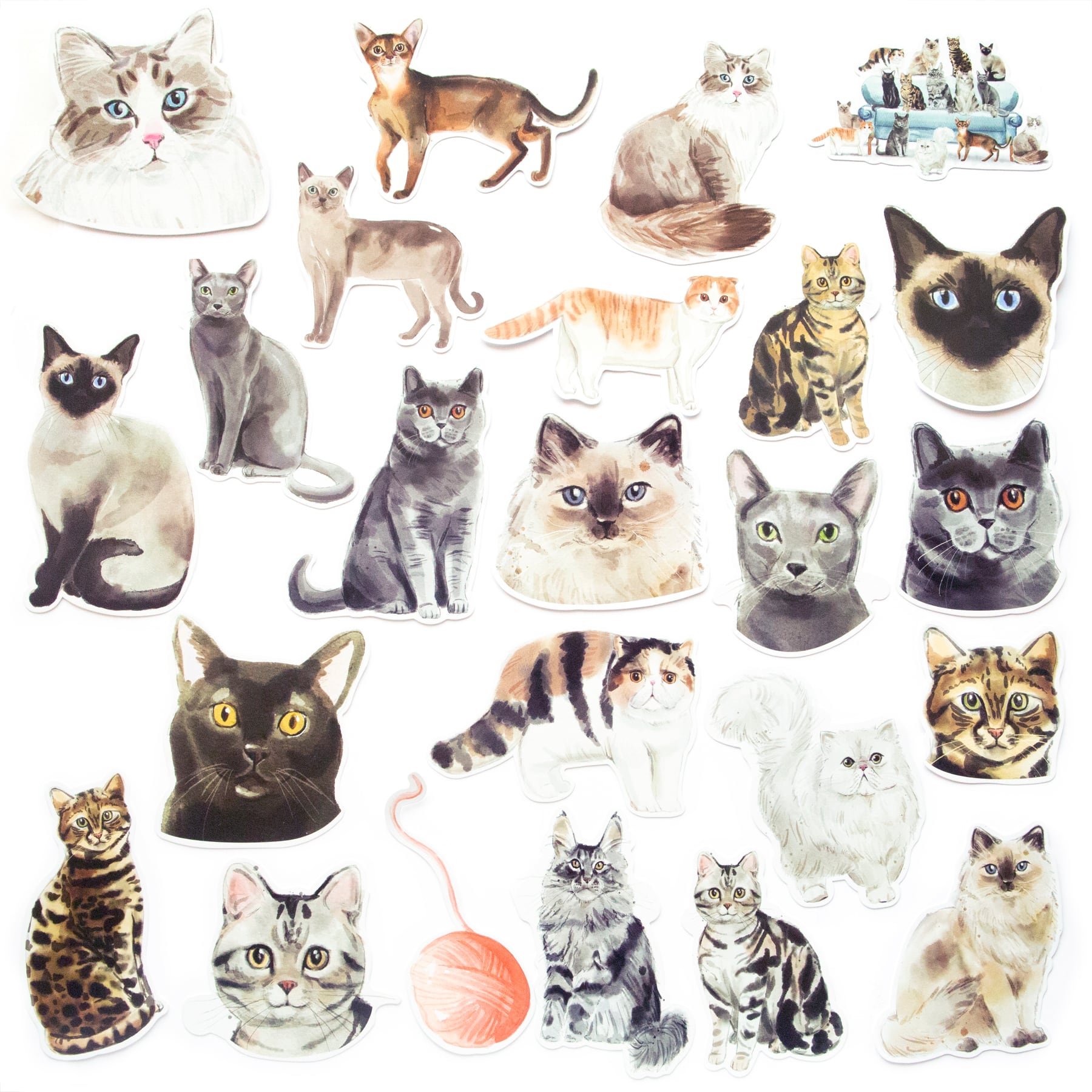 12 Pack: Cats Die Cut Stickers by Recollections™