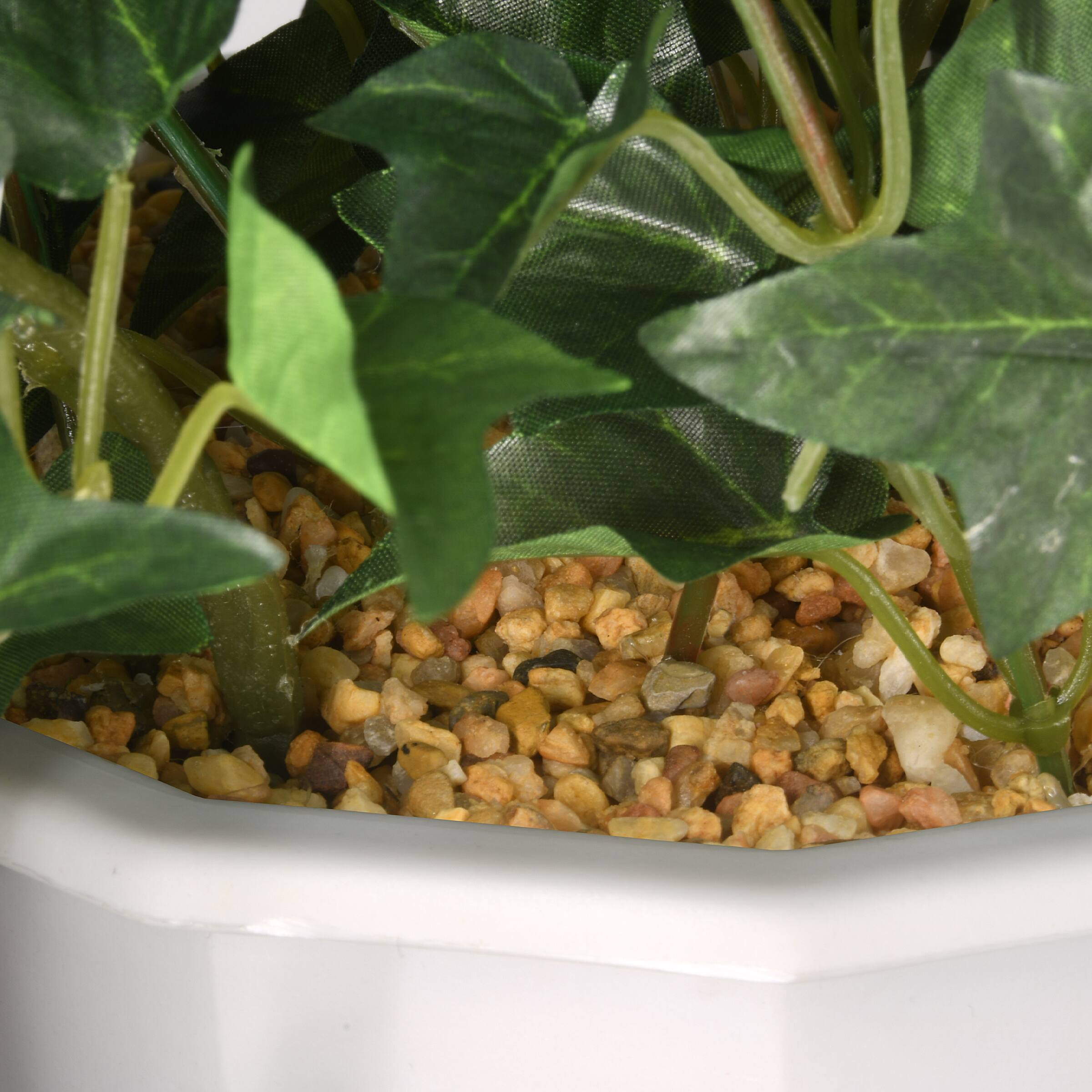 3.5ft. Purple Morning Glory Hanging Plant