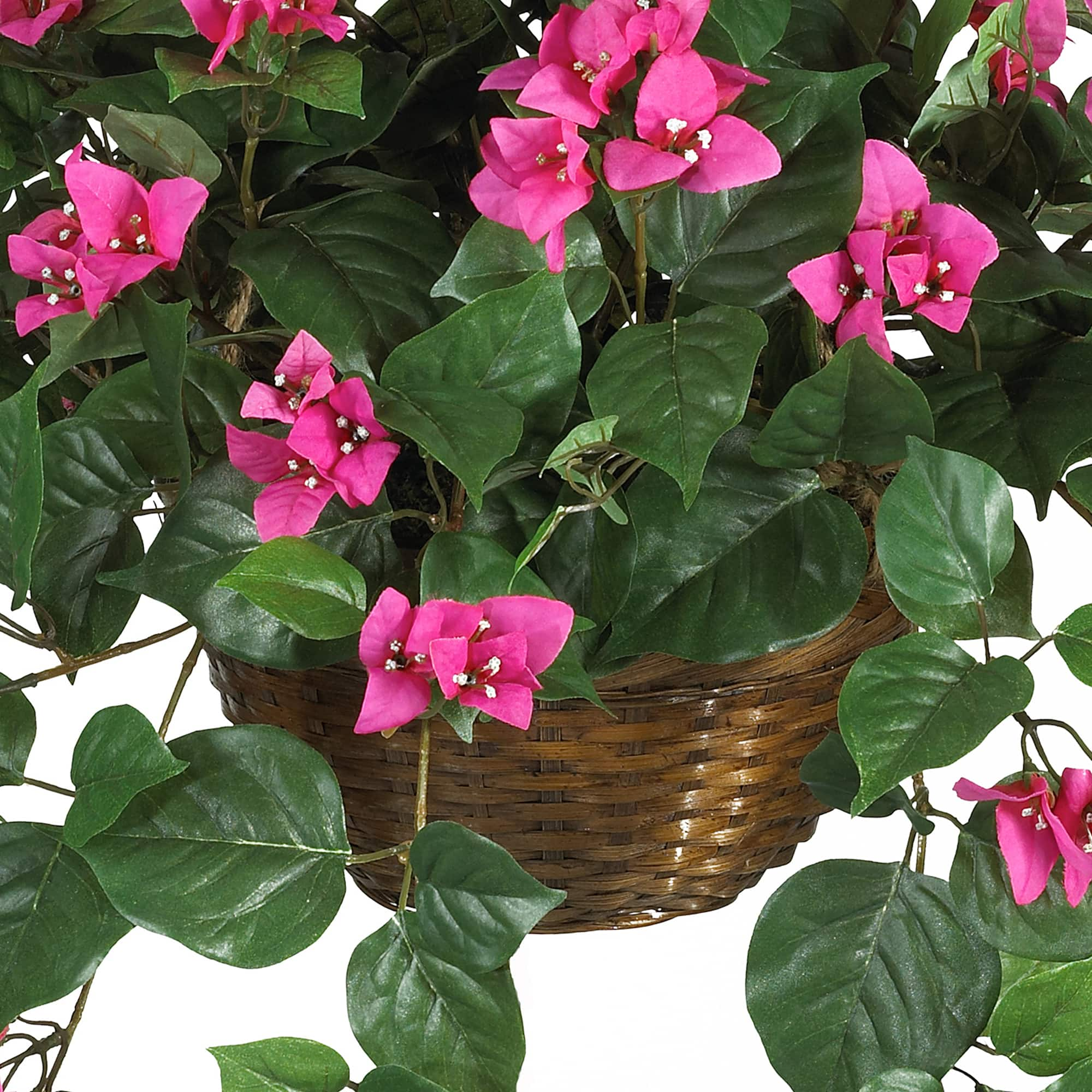 24&#x22; Pink Bougainvillea Hanging Basket