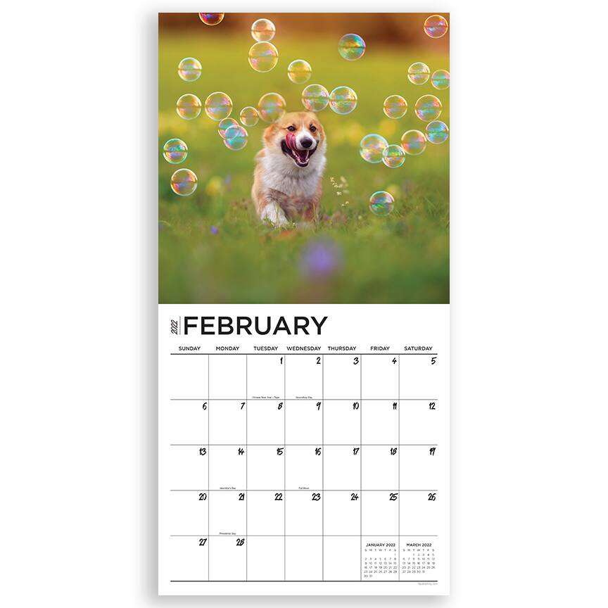 Calendrier Open Australie 2023 Tf Publishing 2022 Corgis Wall Calendar | Michaels