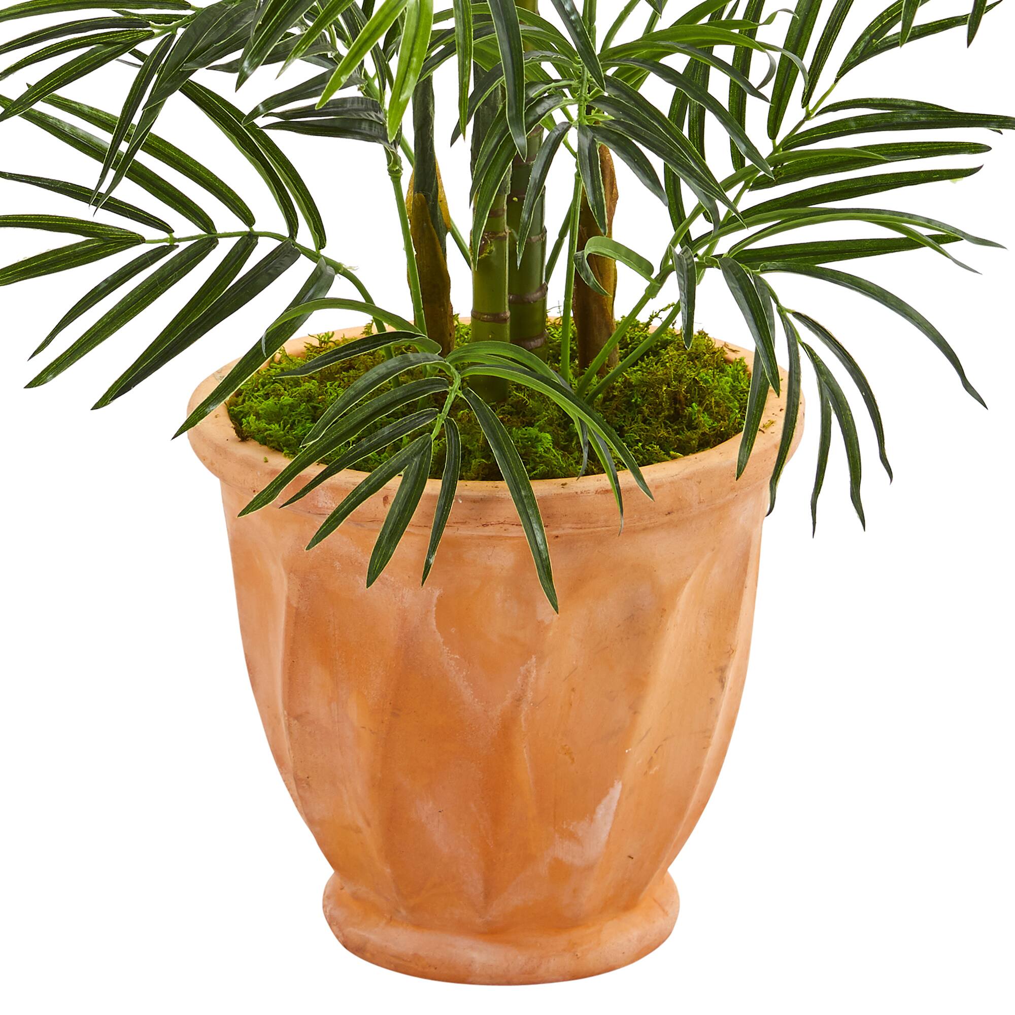 4ft. Areca Palm Tree in Terra Cotta Planter