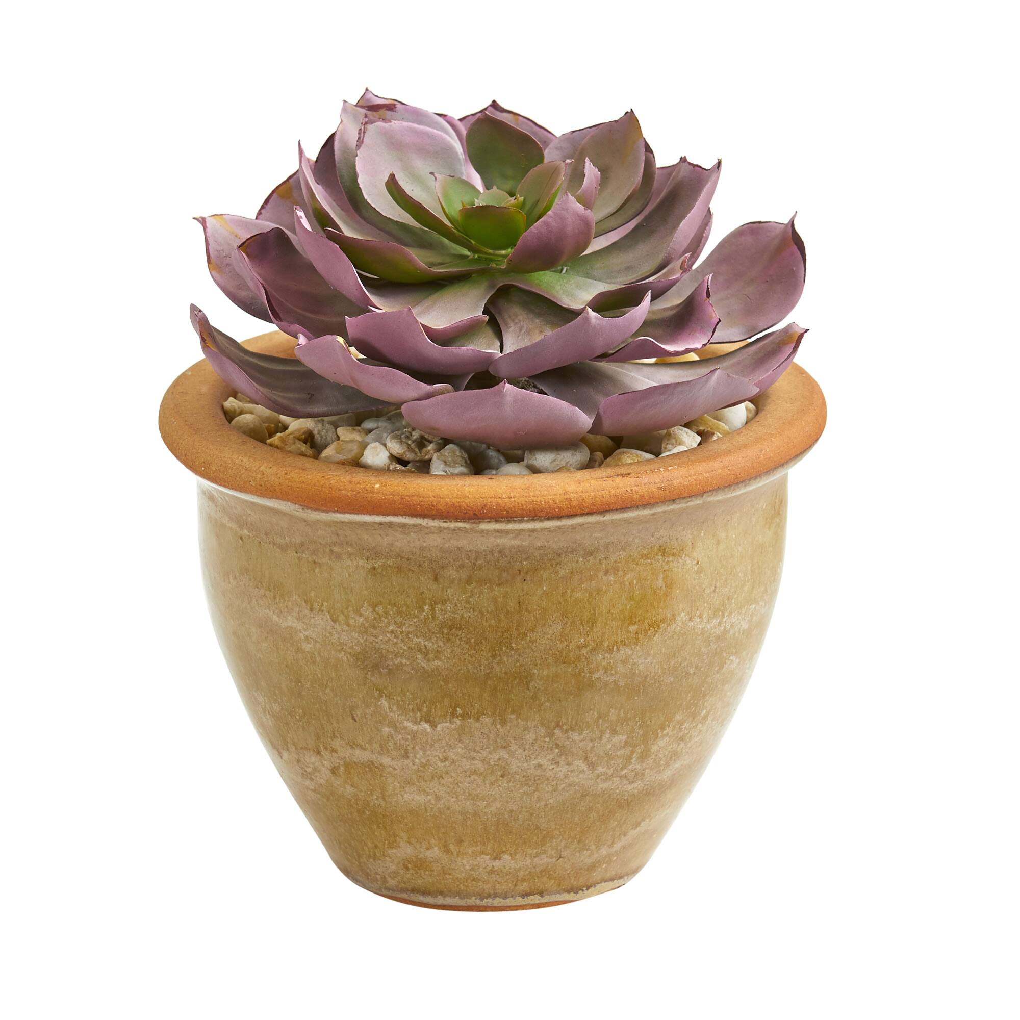 12" Purple & Green Succulents in Ceramic Vases, 2ct.
