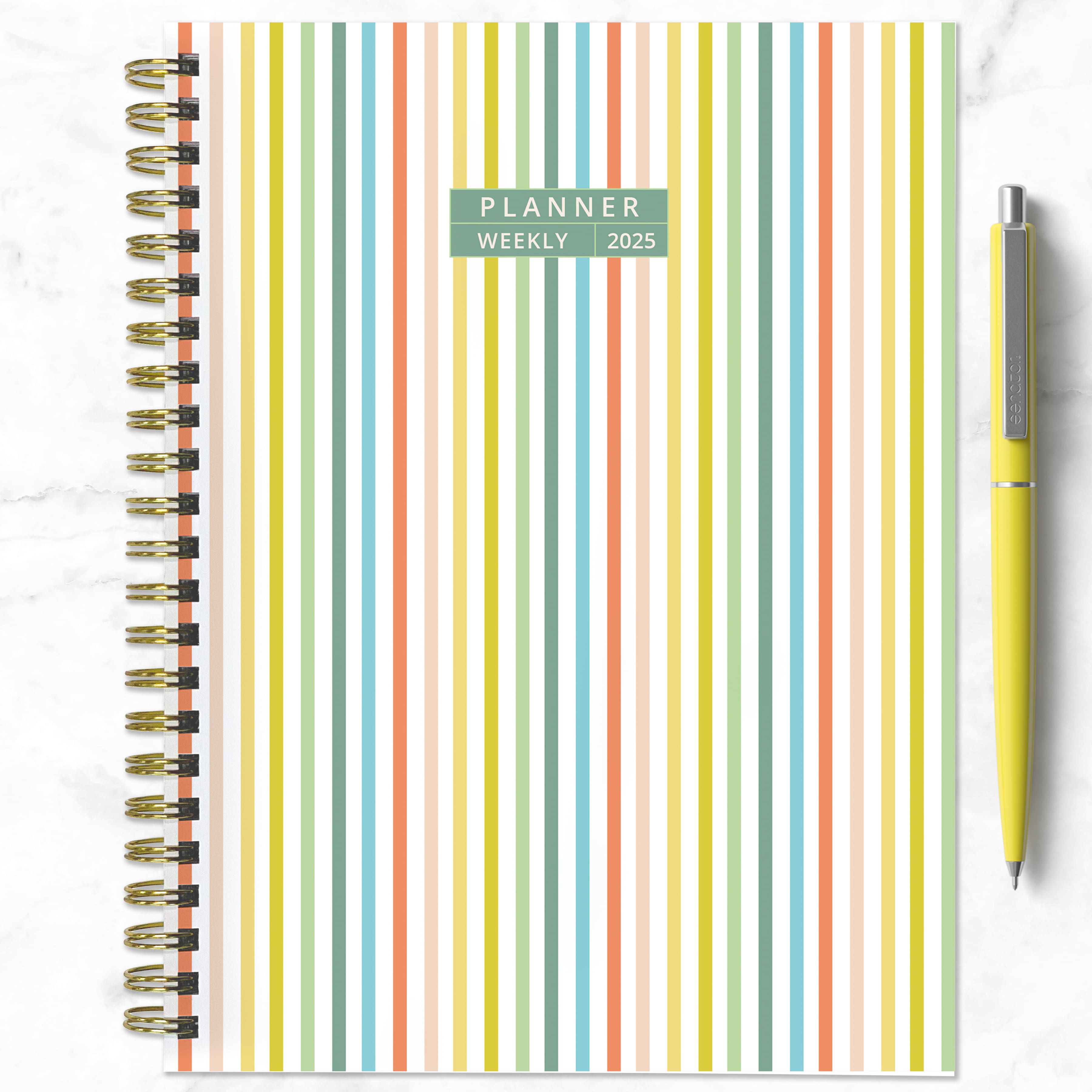 TF Publishing 2025 Medium Malibu Stripes Weekly Monthly Spiral Planner