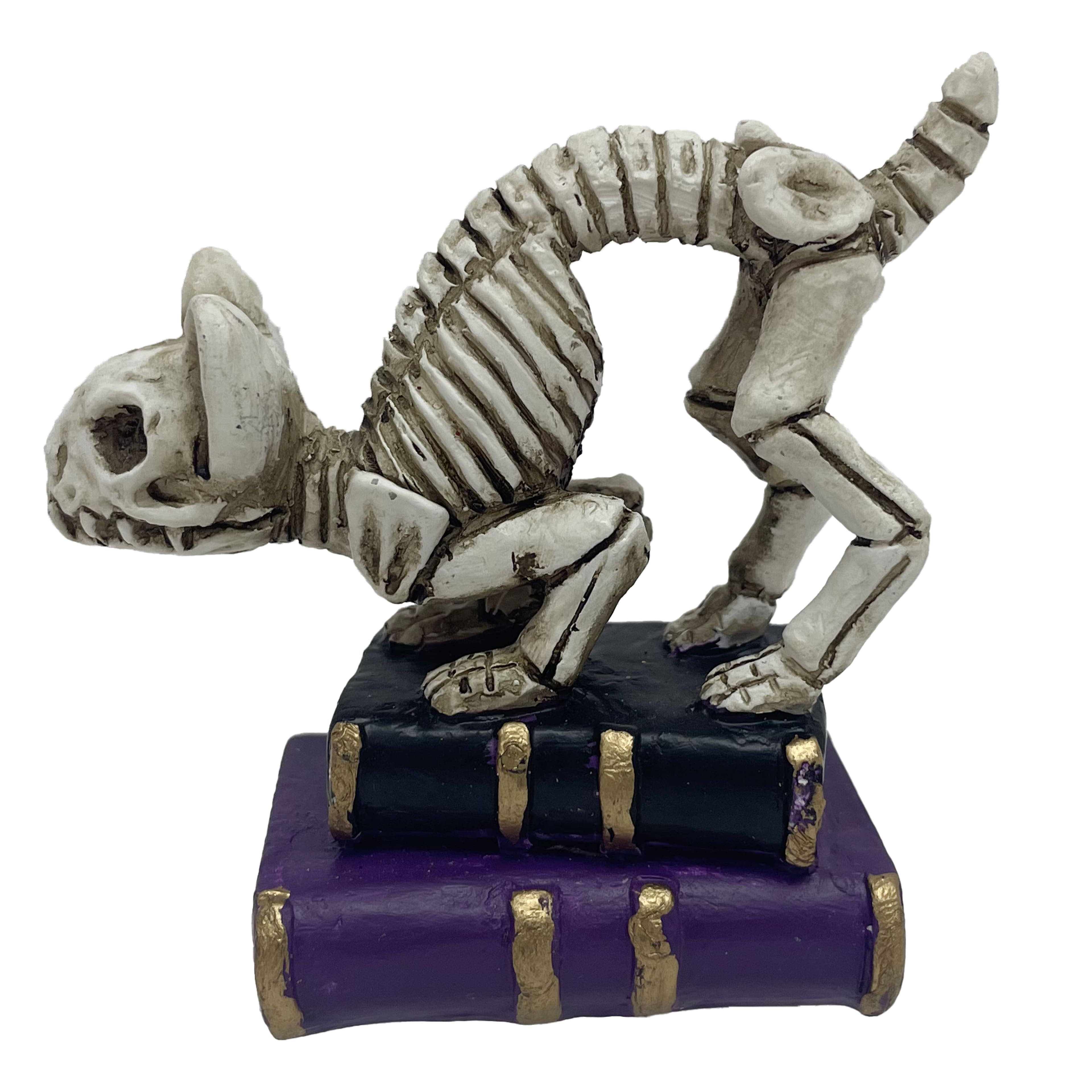 Mini Cat Skeleton with Books D&#xE9;cor by Ashland&#xAE;